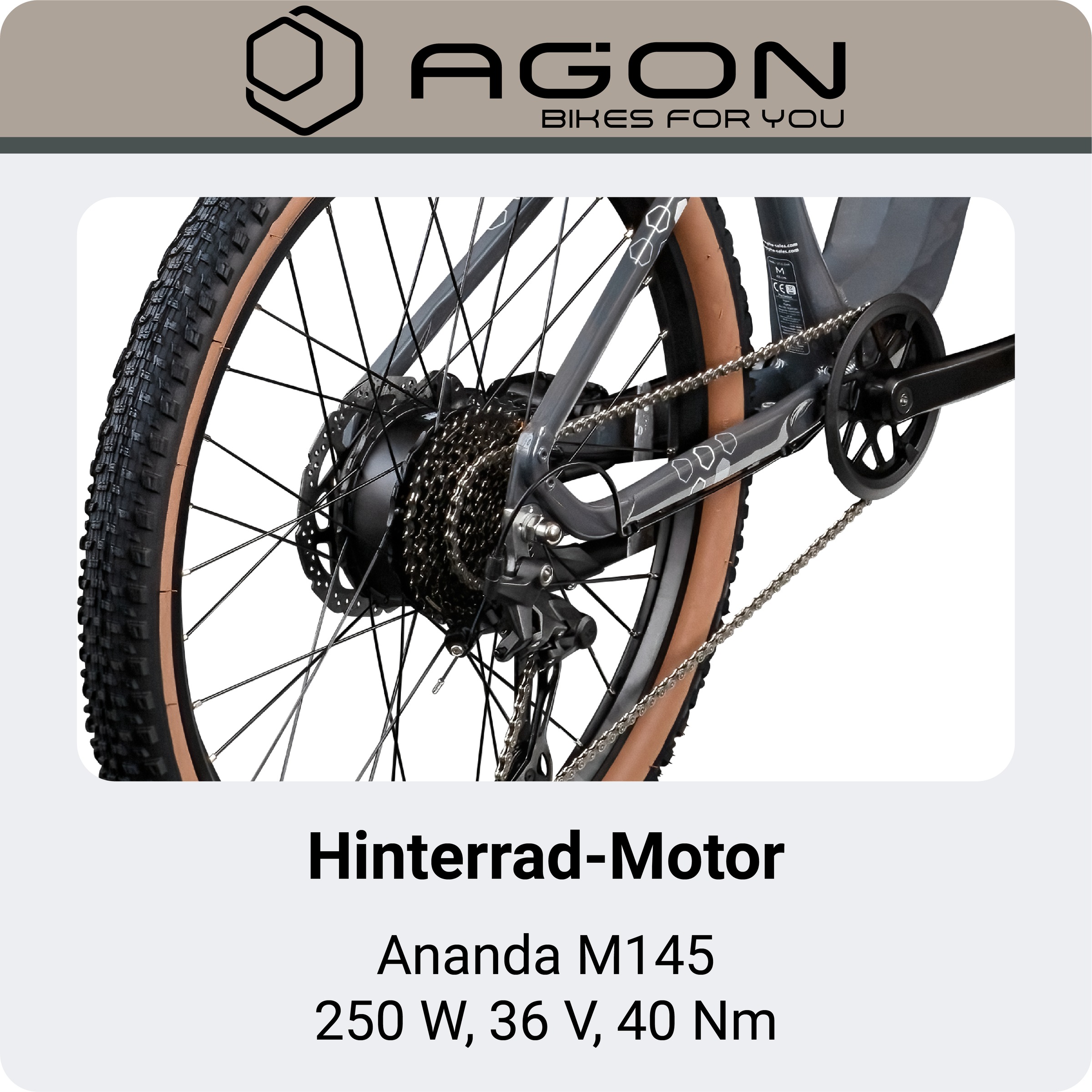 AGON »Alpha« 10 Gang Deore SGS T6000 Schaltwerk Kettenschaltung Heckmotor 250 W Pedelec, Elektrofahrrad für Damen u. Herren, MTB