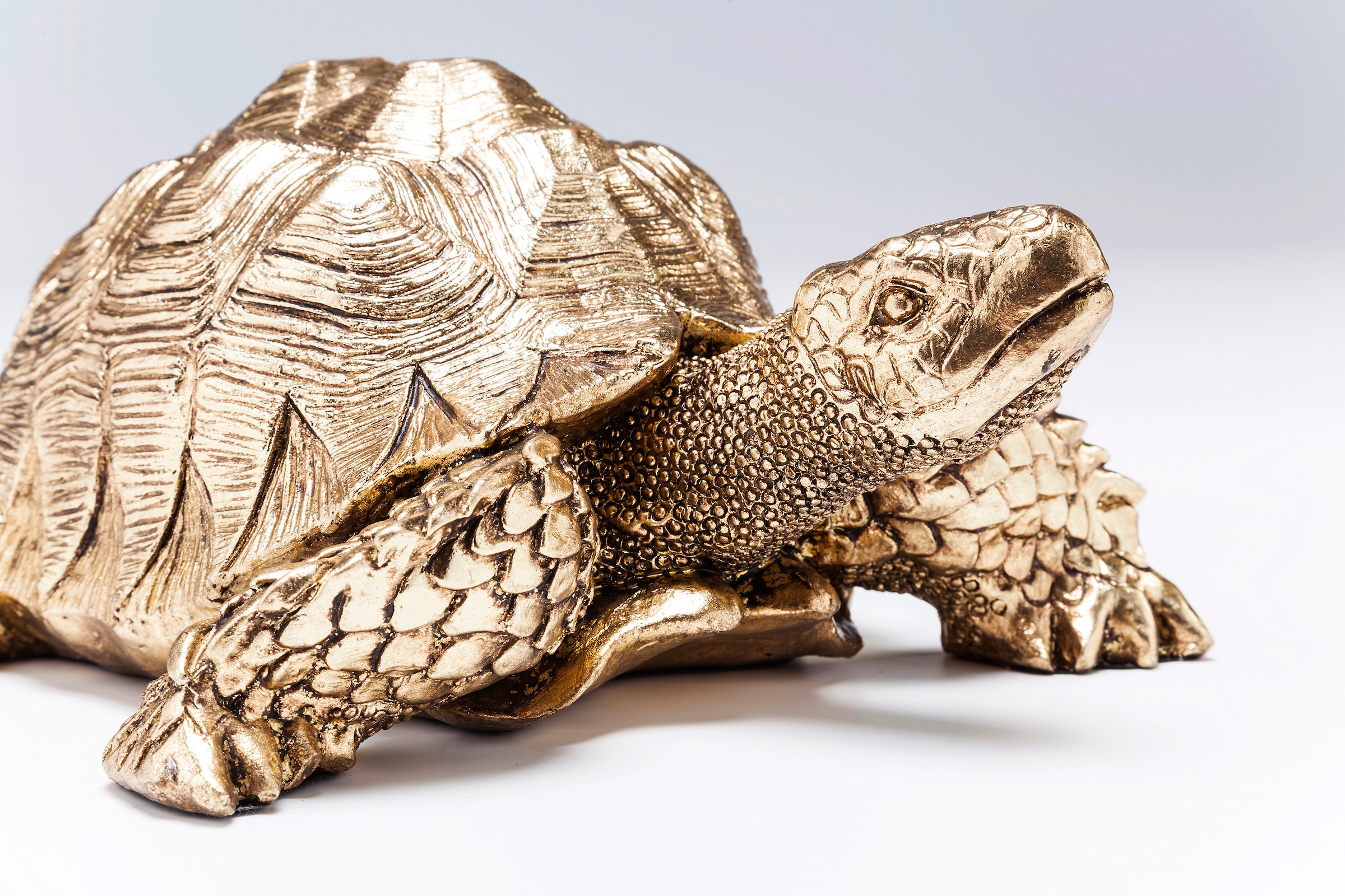 Kare Design Dekoratyvinė figurėlė »Deko figurėlė vėžlys Gold Klein«