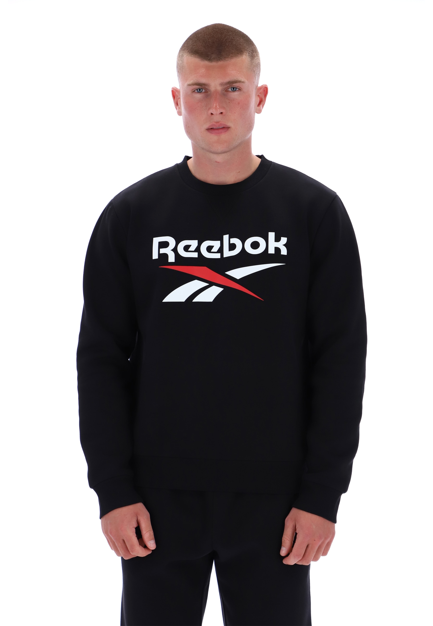 Reebok Sweatshirt "JULIAN 2 COL LOGO CREWNECK SWEATSHIRT", Langarm-Design, aus Baumwolle und Polyester, mit Rundhalsausschnitt