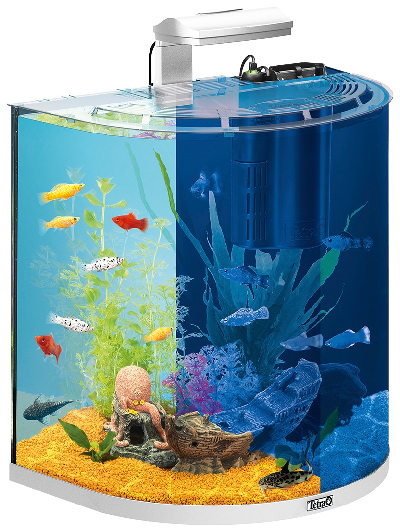 Tetra Aquarien-Set »AquaArt LED Explorer Line«, BxTxH: 51x33,5x51,5 cm, 60  l, inkl. GC 40 Bodenreiniger online bestellen | BAUR