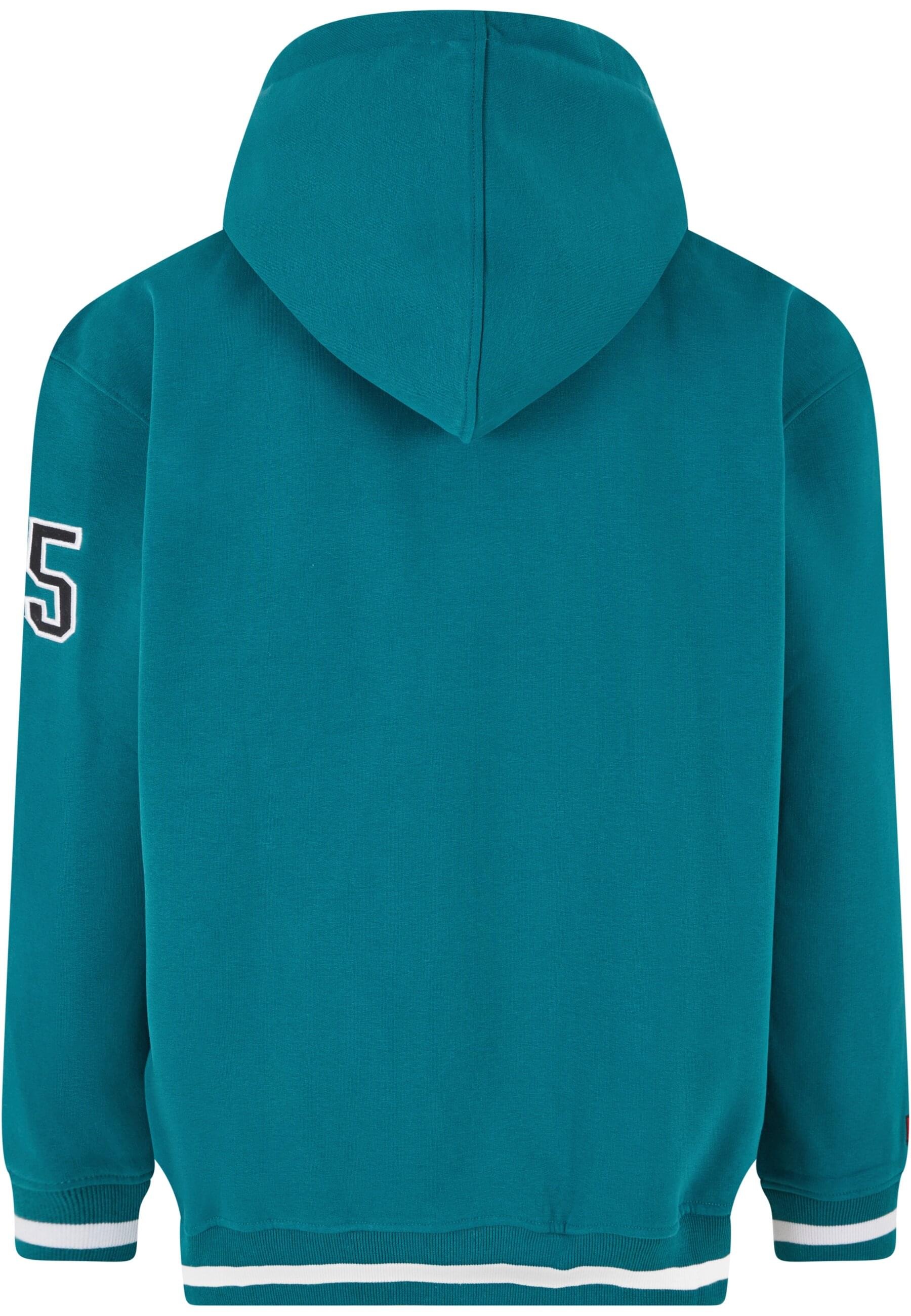 Fubu Kapuzensweatshirt »Fubu Herren FM223-004-1 Varsity Heavy Hoodie«, (1 tlg.)