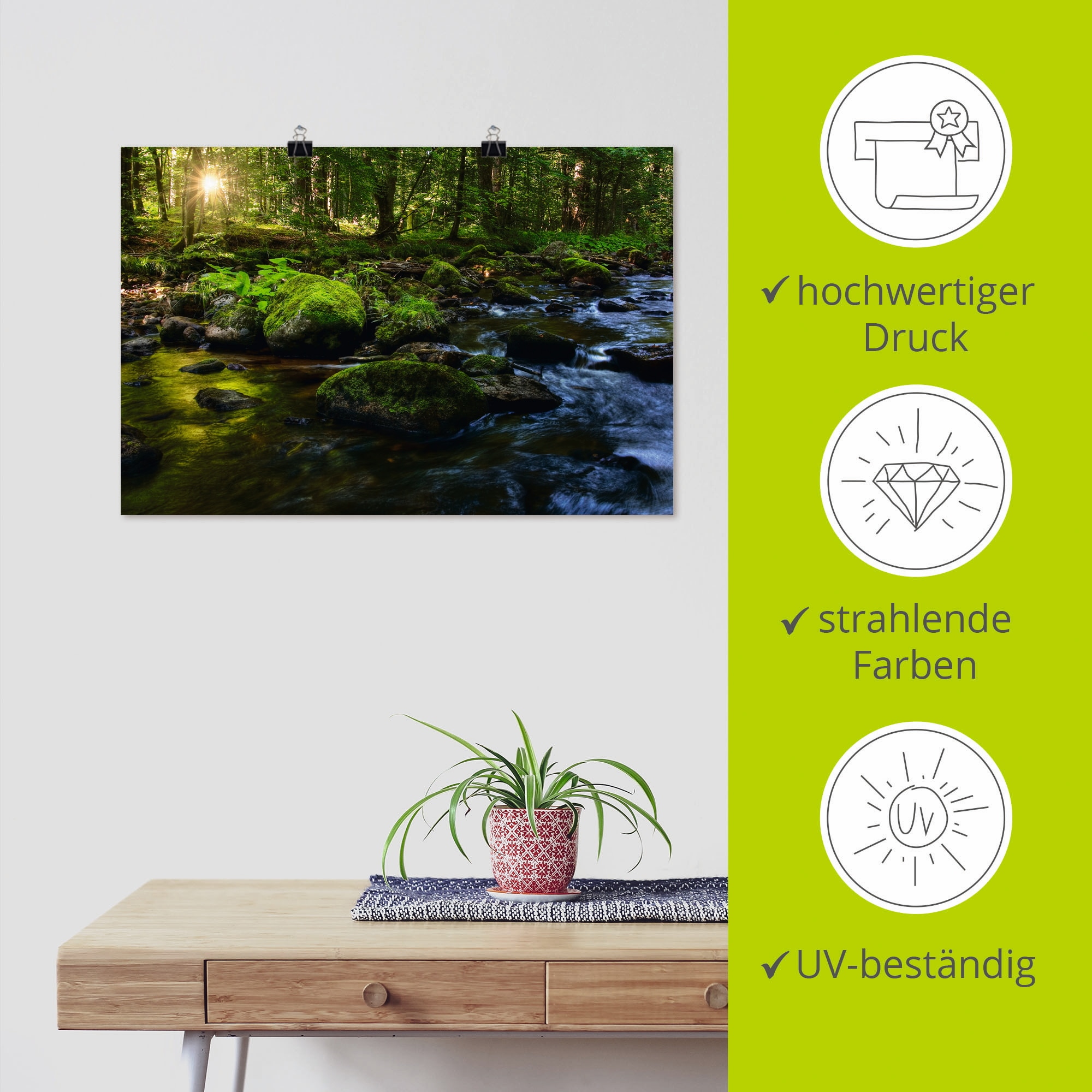 Artland Wandbild »Feenland«, Wald, (1 St.), als Alubild, Outdoorbild, Leinwandbild, Poster in verschied. Größen
