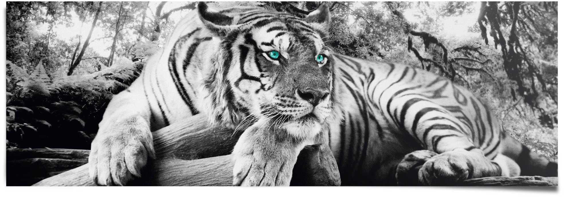 Reinders "Tigerblick" 1 tlg. günstig online kaufen