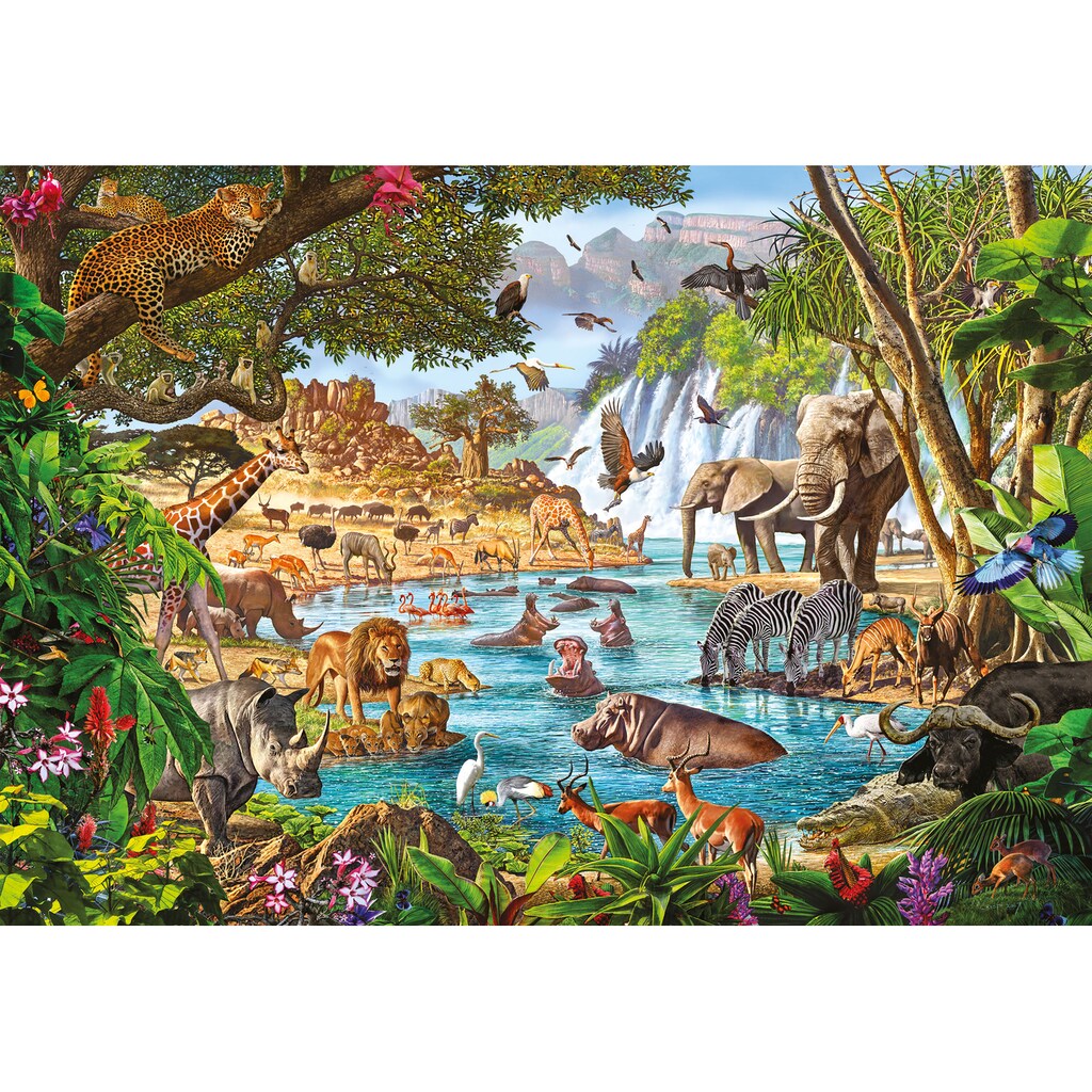 Clementoni® Puzzle »High Quality Collection, Wasserstelle«