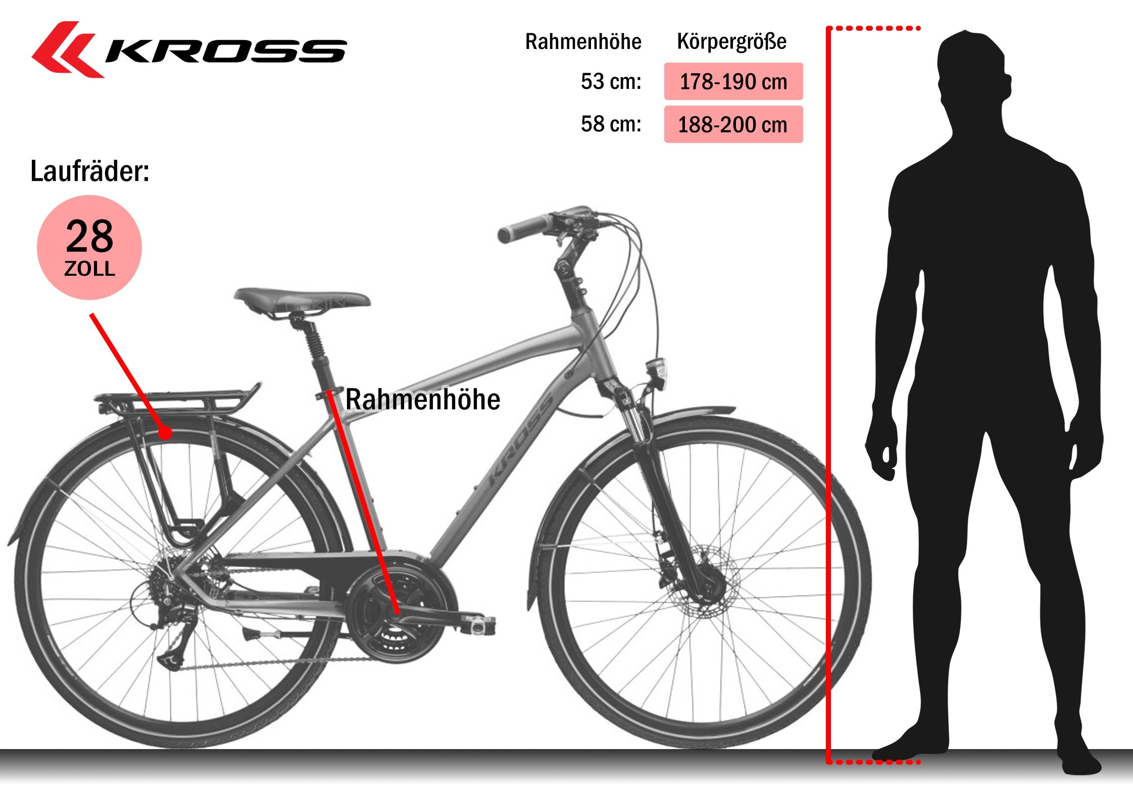 Kross Trekkingrad »Trekkingrad Trans 4.0 grau 8 Gänge« 8 Gang Shimano ACERA M3020 Schaltwerk