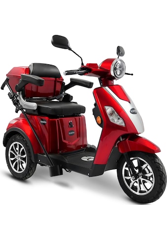 Elektromobil »Rolektro E-Trike 15 V.3 Lithium«, 1000 W, 15 km/h, (mit Topcase)