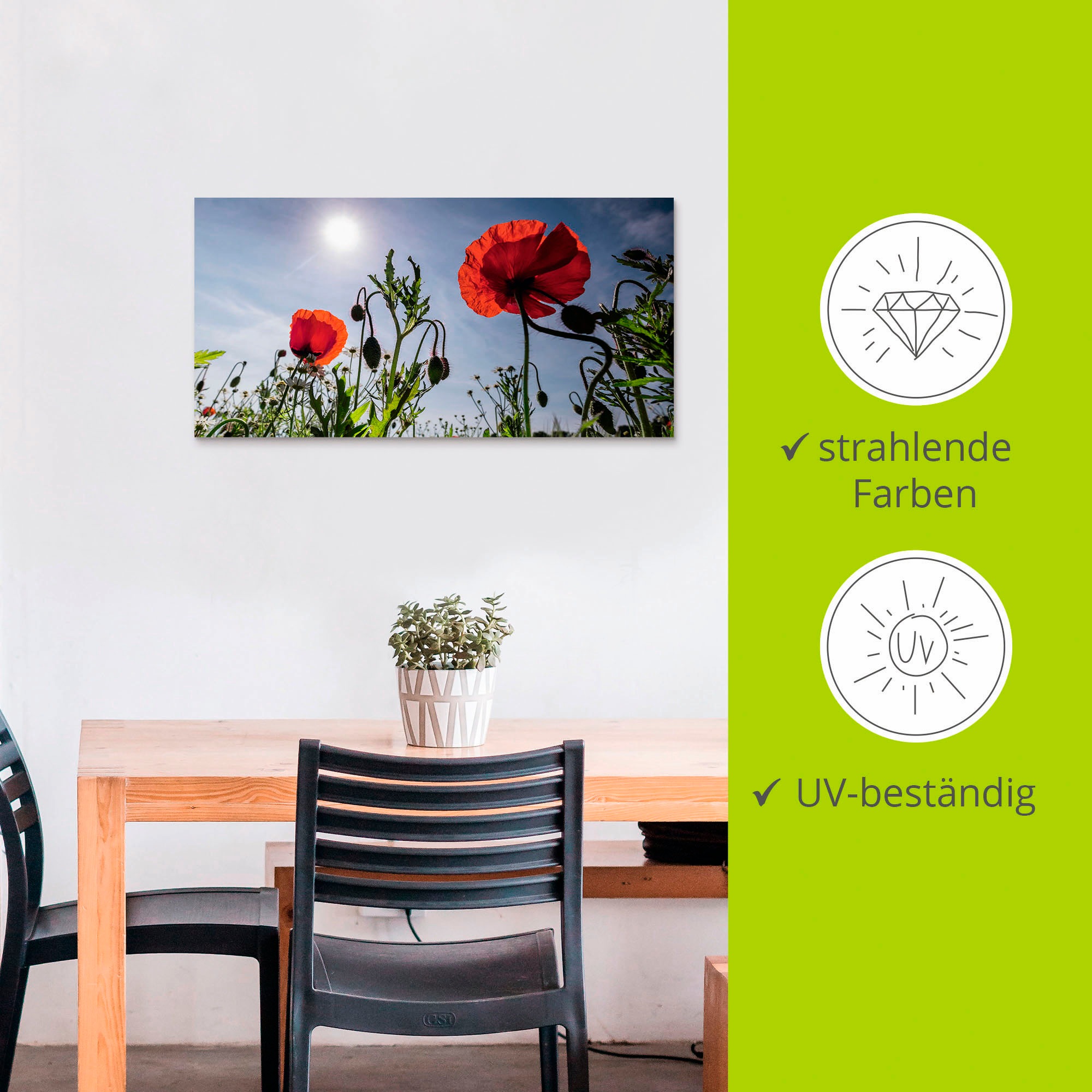 Artland Alu-Dibond-Druck »Mohnblumen im Frühling« Blumenwiese 1 Stk. tlg. für Innen- und Außenbereich geeignet, Outdoorbild