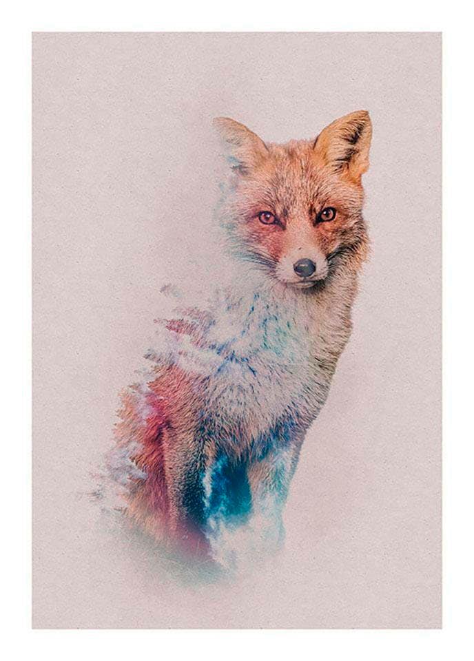 Komar Poster »Animals Tiere, | Fox«, Schlafzimmer, St.), (1 Forest BAUR Wohnzimmer Kinderzimmer