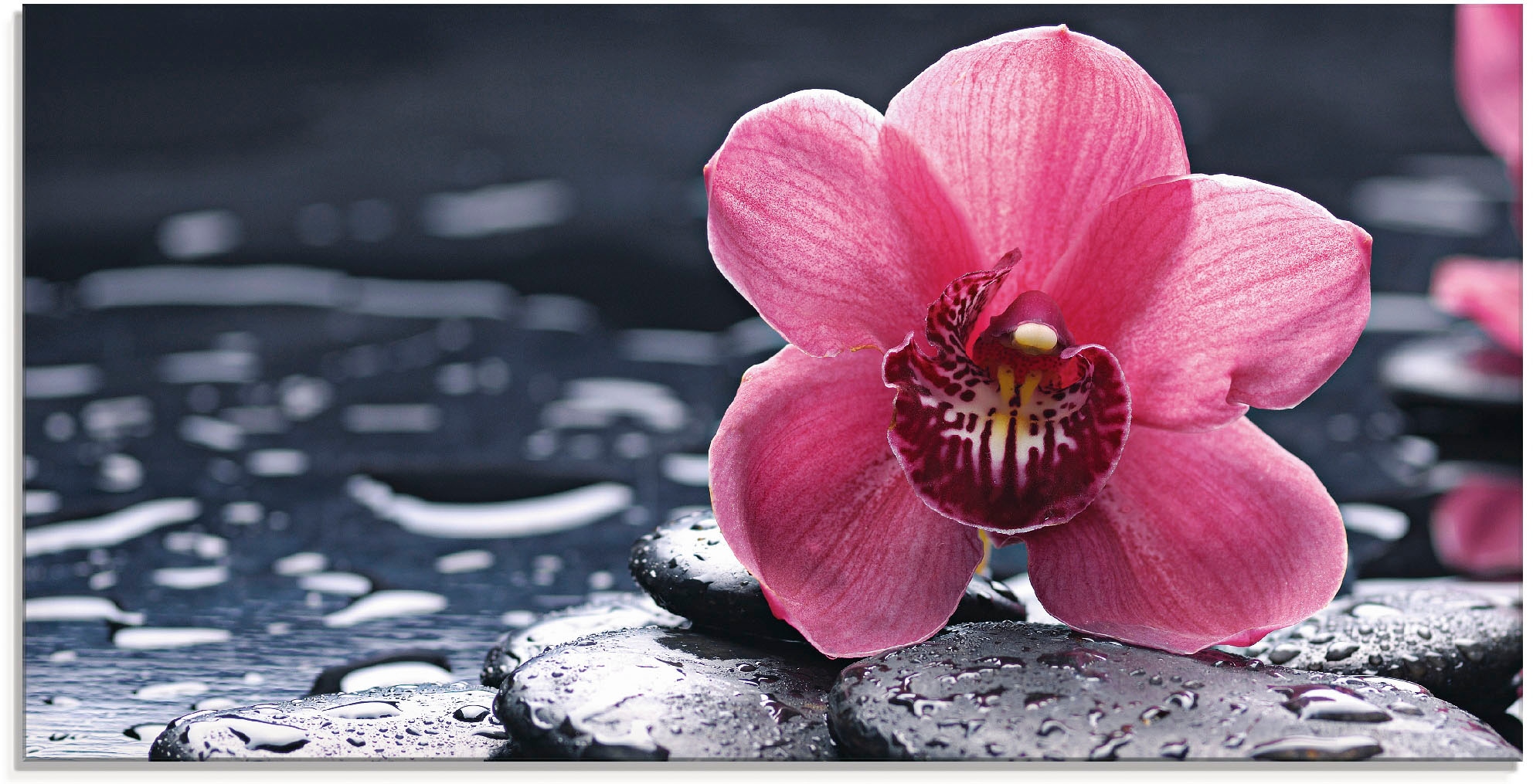Artland Glasbild "Stillleben mit Kiesel und einer Orchidee" Blumen 1 Stk. tlg. in verschiedenen Größen