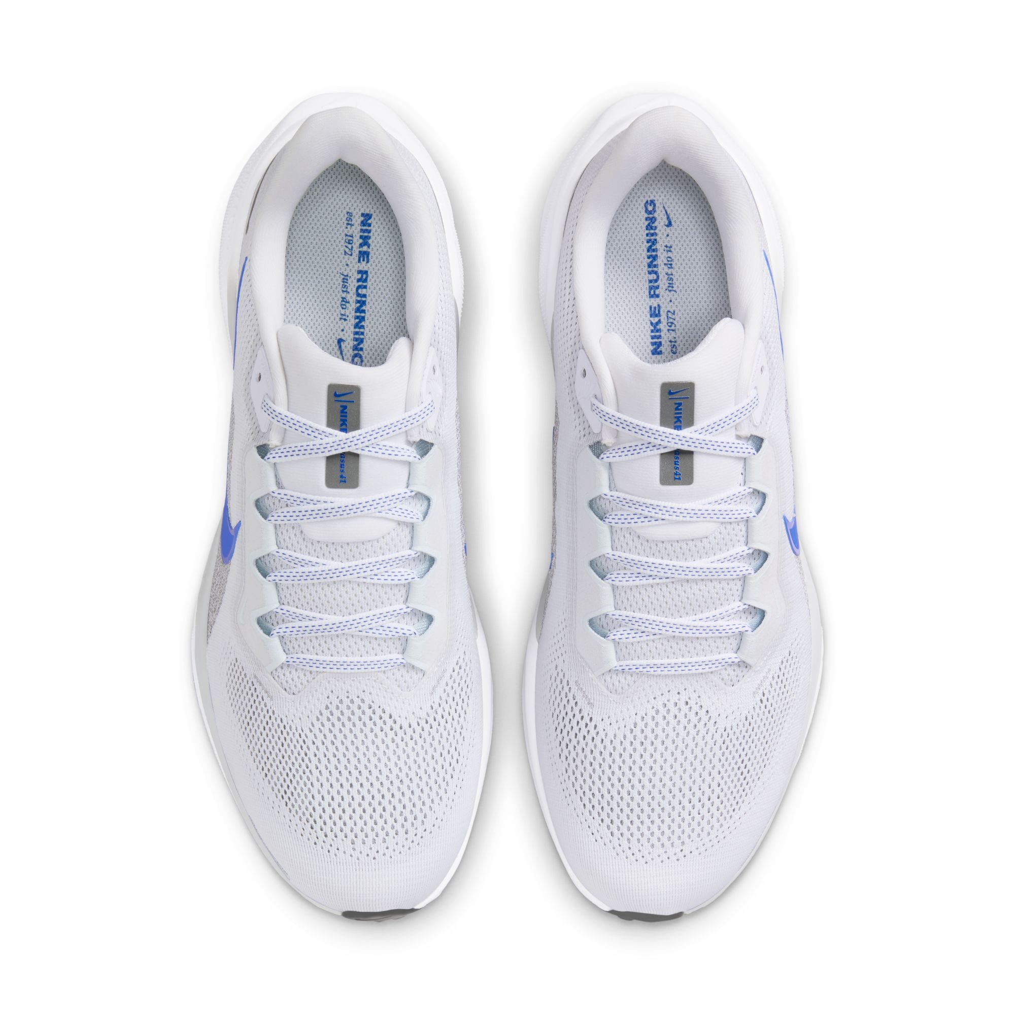 Nike Laufschuh »AIR ZOOM PEGASUS 41«
