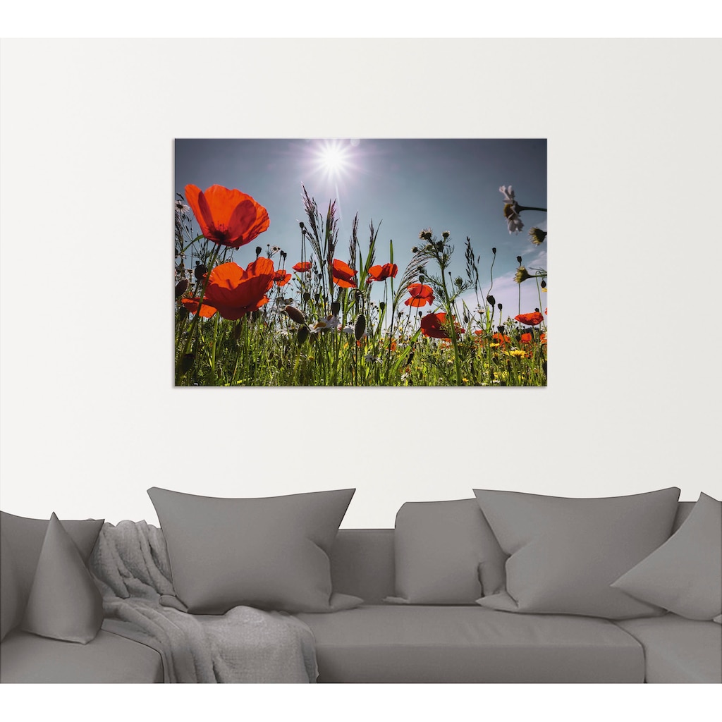 Artland Wandbild »Mohnblumenwiese«, Blumenwiese, (1 St.)