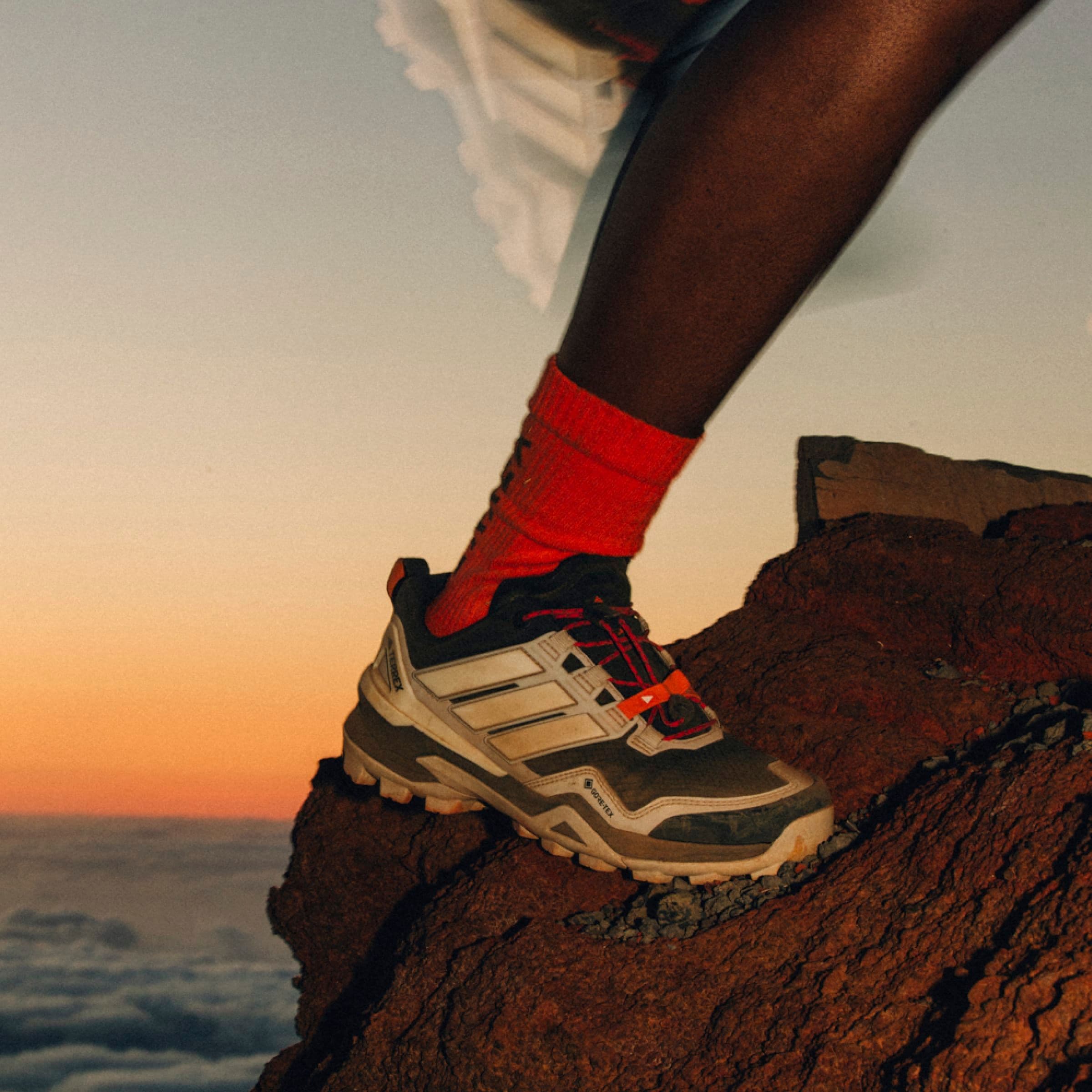 adidas TERREX Wanderschuh »TERREX SKYCHASER GORE-TEX«