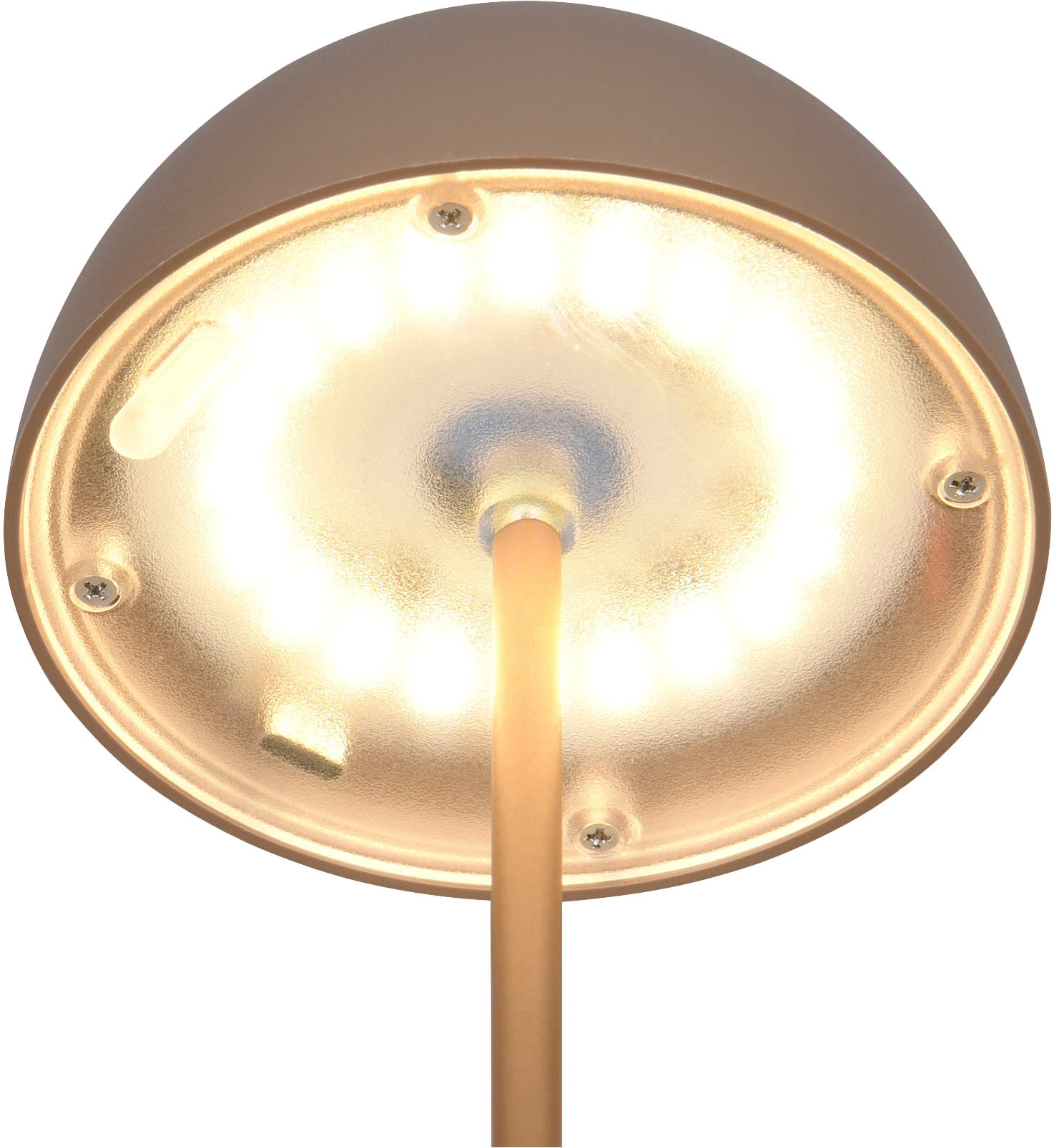 REALITY Leuchten LED Tischleuchte »ORTIZ, Outdoor Akku Tischleuchte in Pilzform, IP44, Touchdimmer USB-C«, 1 flammig, Leuchtmittel LED-Board | LED fest integriert, Memoryfunktion für Dimmstufe, Garten Tischlampe Akku 3h Laufzeit
