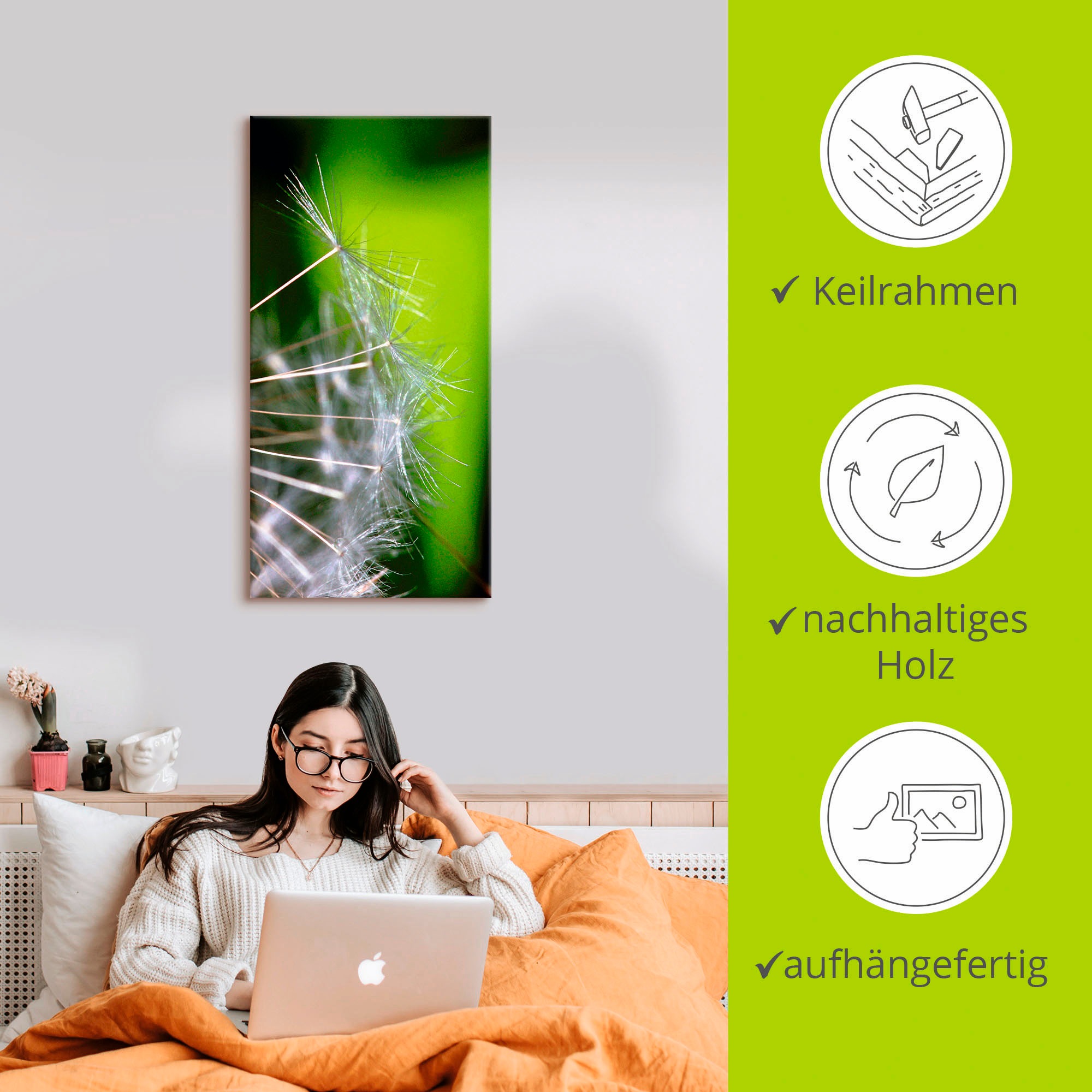 Artland Leinwandbild »Pusteblumesamen«, Blumen, (1 St.), auf Keilrahmen gespannt