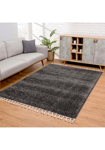 Carpet City Ilgo plauko kilimas »Pulpy 100« rechte...