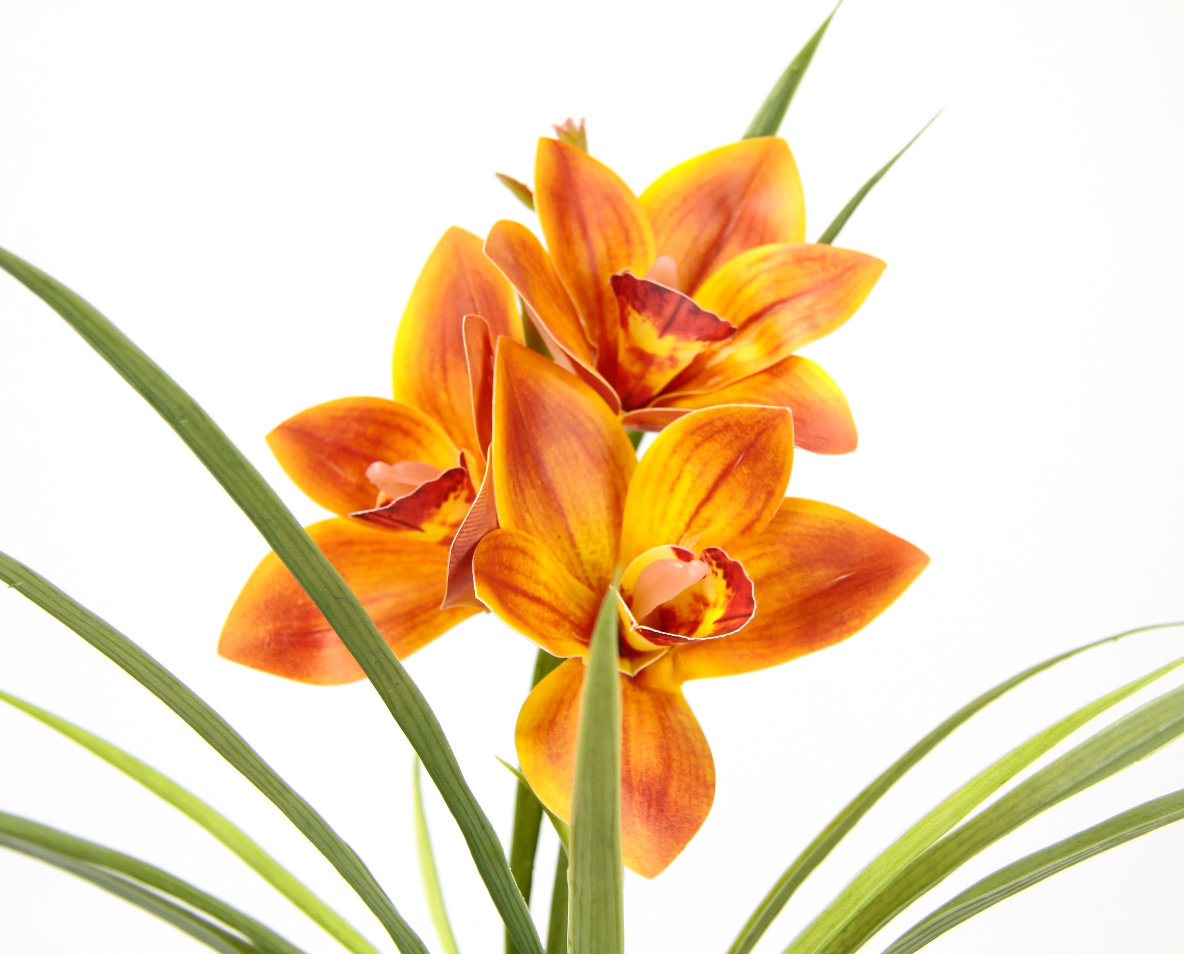 I.GE.A. Kunstblume »Orchidee«, Mit Blätter im Topf aus Keramik Künstliche Blume Cymbidium-Orchidee