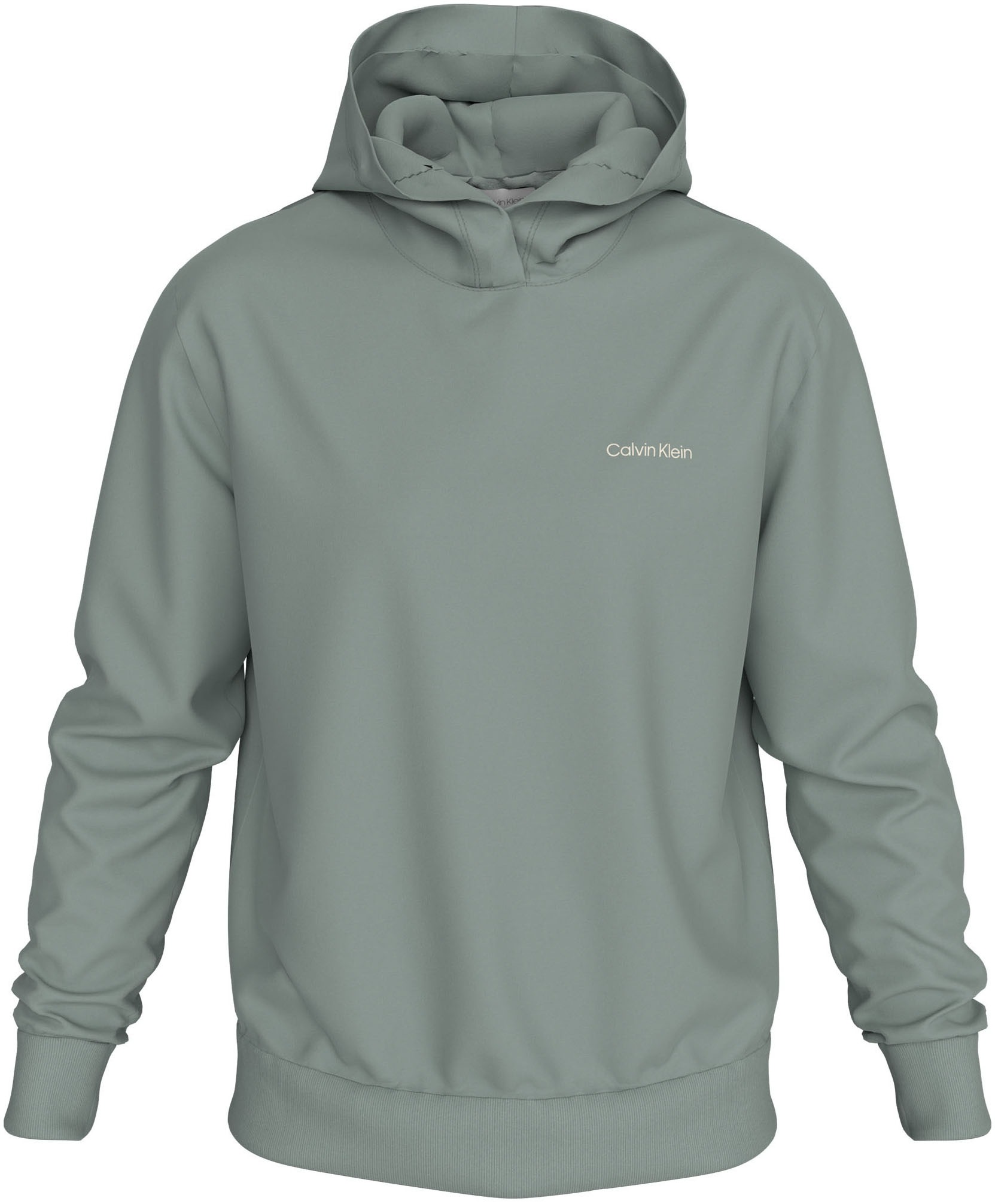 Calvin Klein Kapuzensweatshirt "ENLARGED BACK LOGO HOODIE", mit Logodruck günstig online kaufen