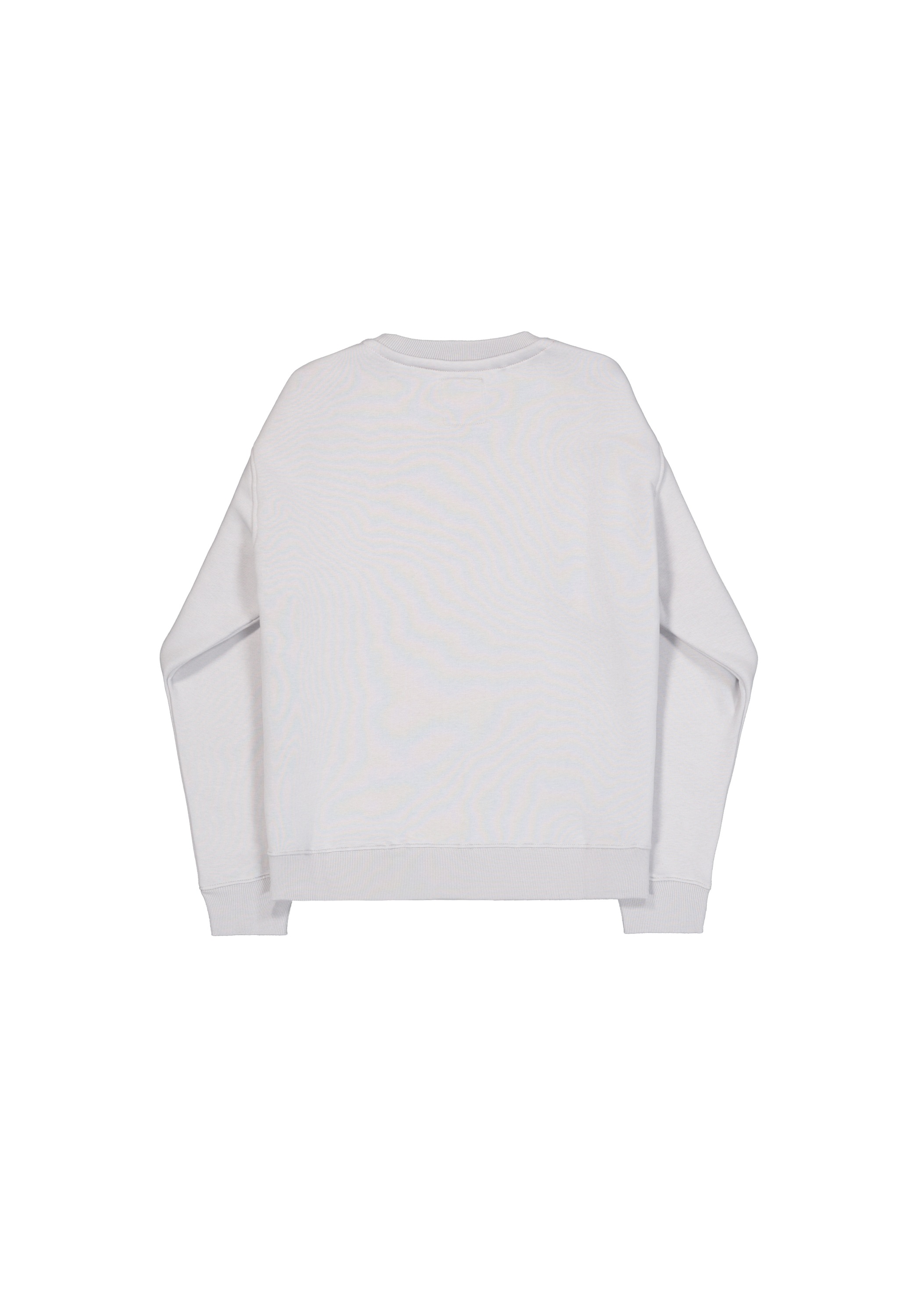 Alpha Industries Sweater »Alpha Industries Men - Sweatshirts Alpha Refl. Print Sweater«