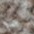 700 beige