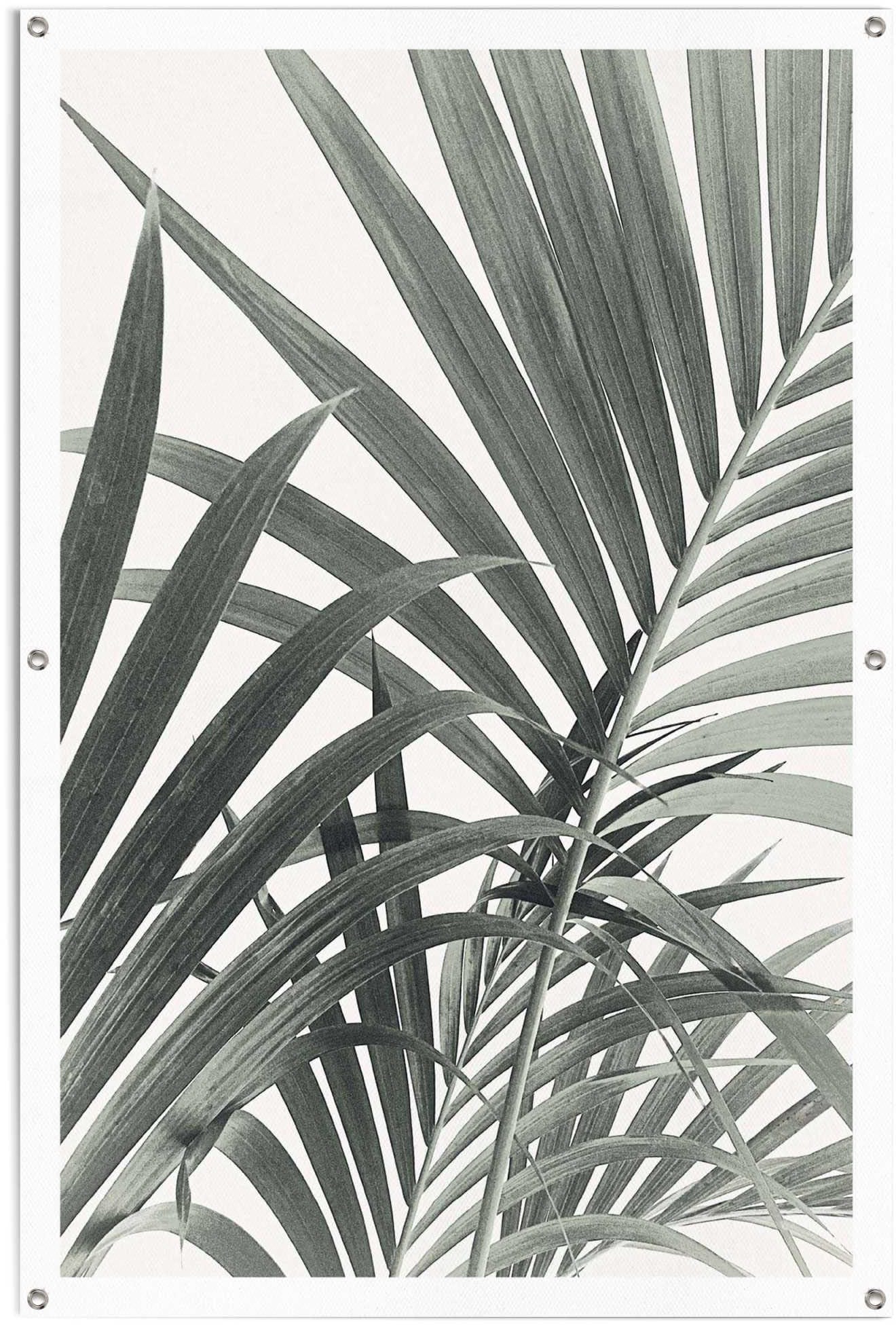 Reinders! Poster »Palmenblätter«, leichtes und wasserfestes Gartenposter für den Außeneinsatz