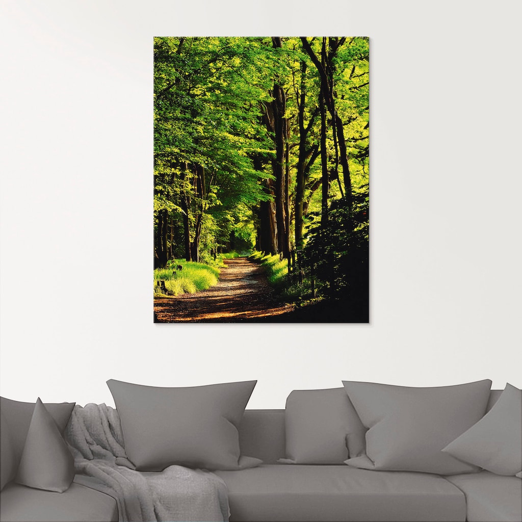 Artland Glasbild »Weg im Wald«, Wald, (1 St.)