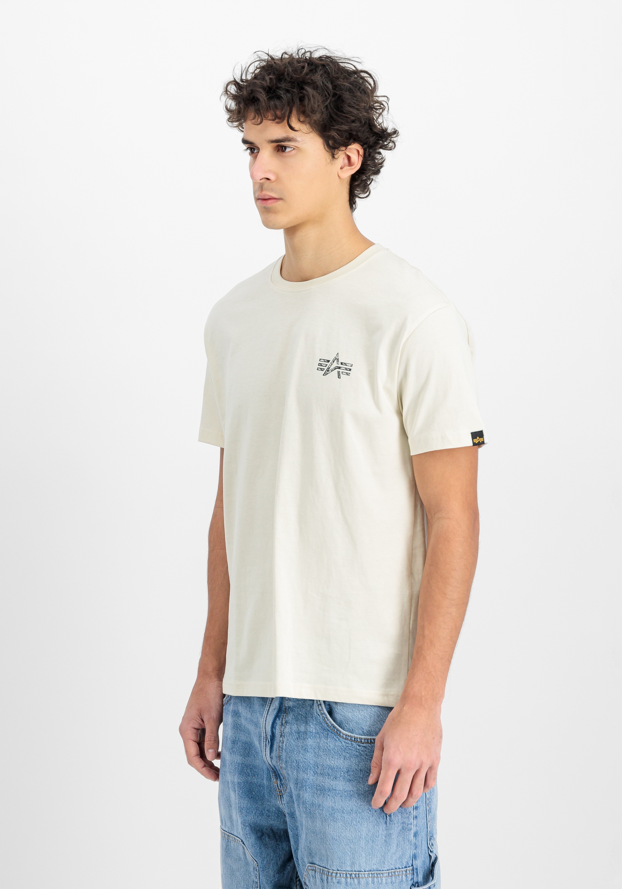 Alpha Industries T-Shirt »Signature Backprint T-Shirt T-Shirt«