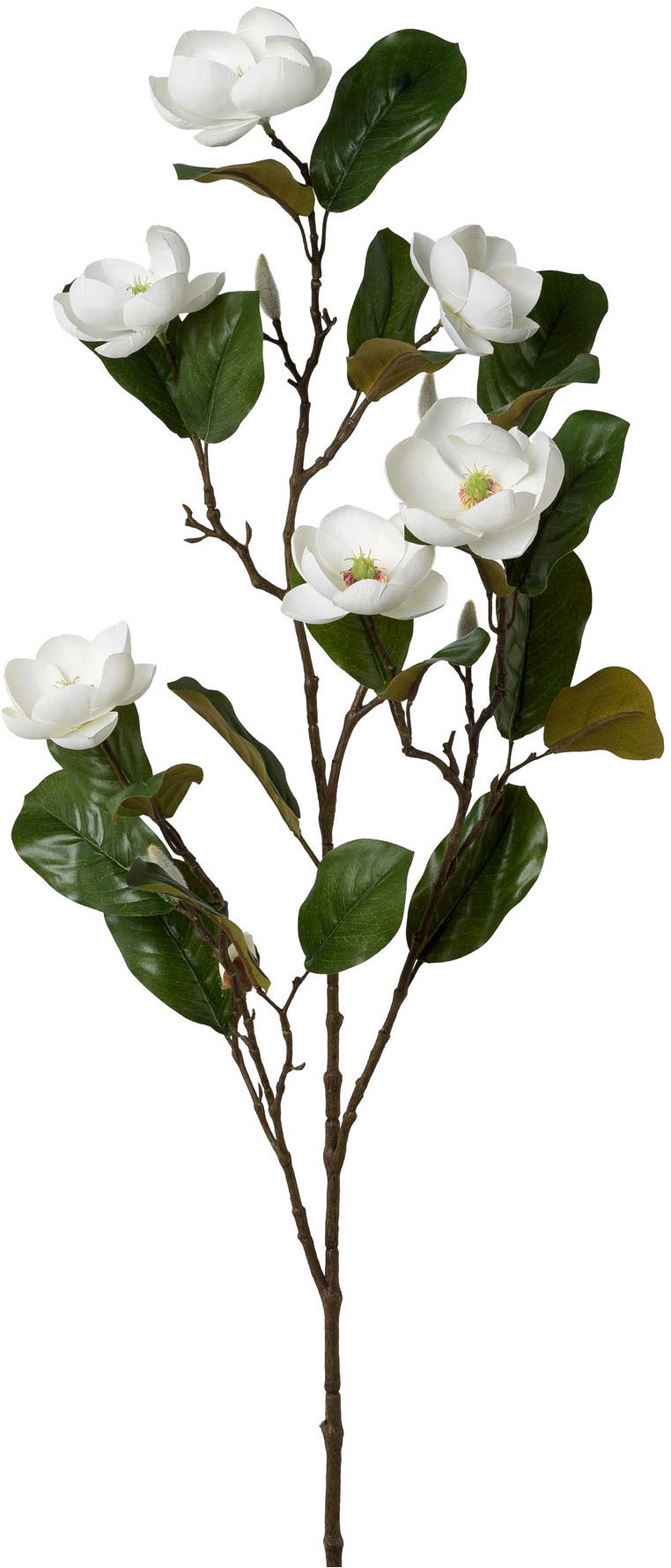 Kunstblume »Magnolienzweig«, mit zauberhaften Blüten