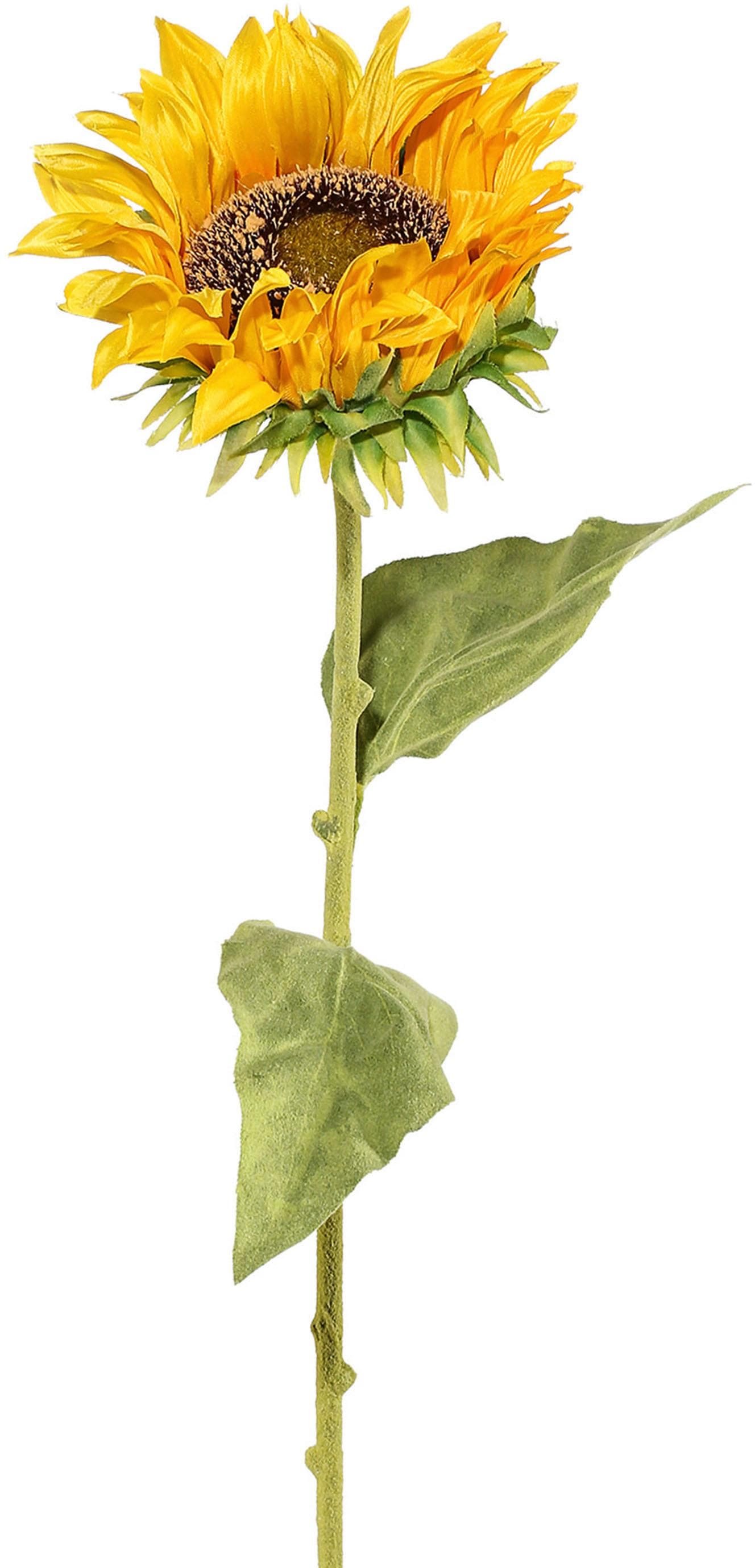 Creativ green Kunstblume, 6er Set