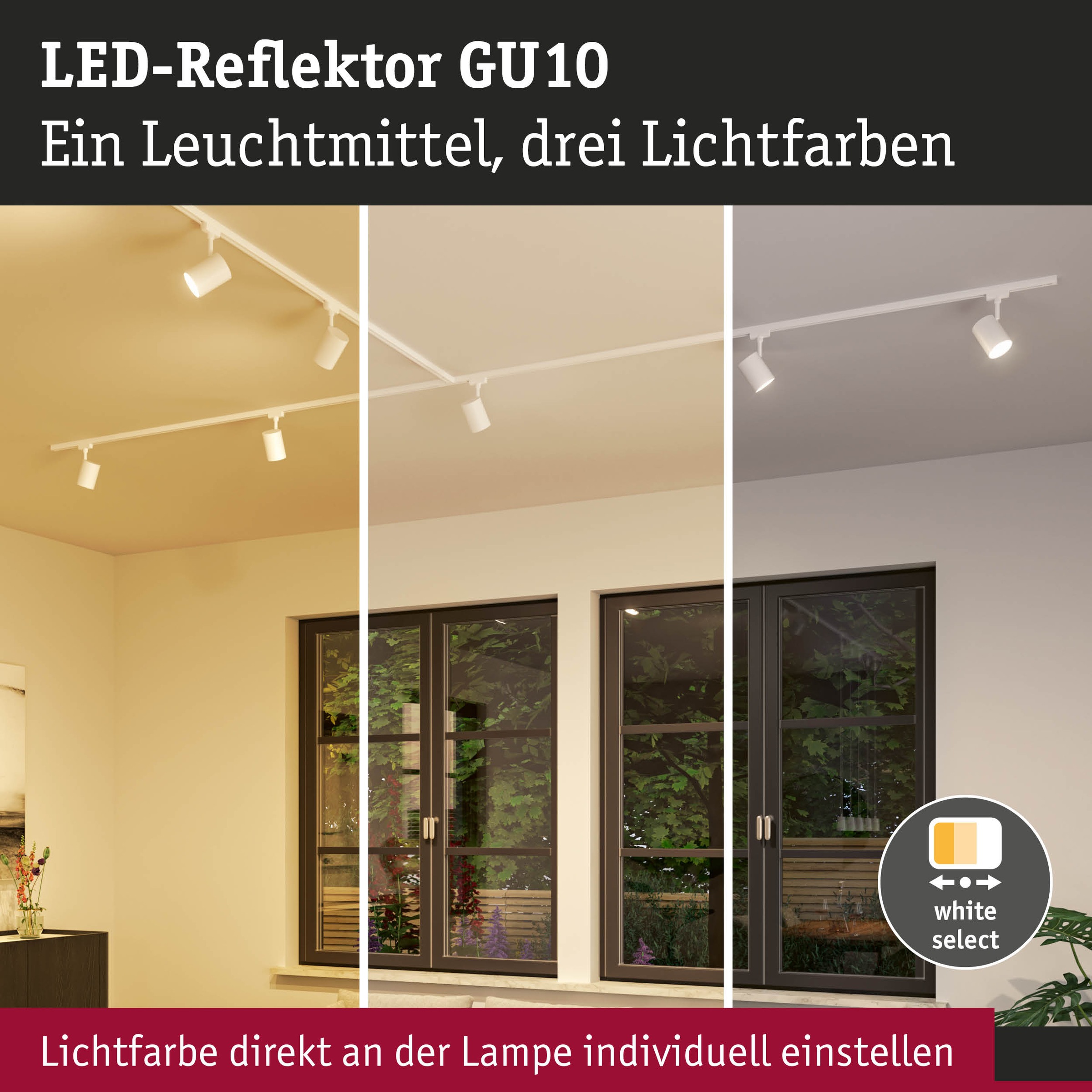 Paulmann LED-Leuchtmittel »450lm 3CCT DipSwitch 50° 4,6W 230V« GU10 1 Stk. Farbwechsler White Select