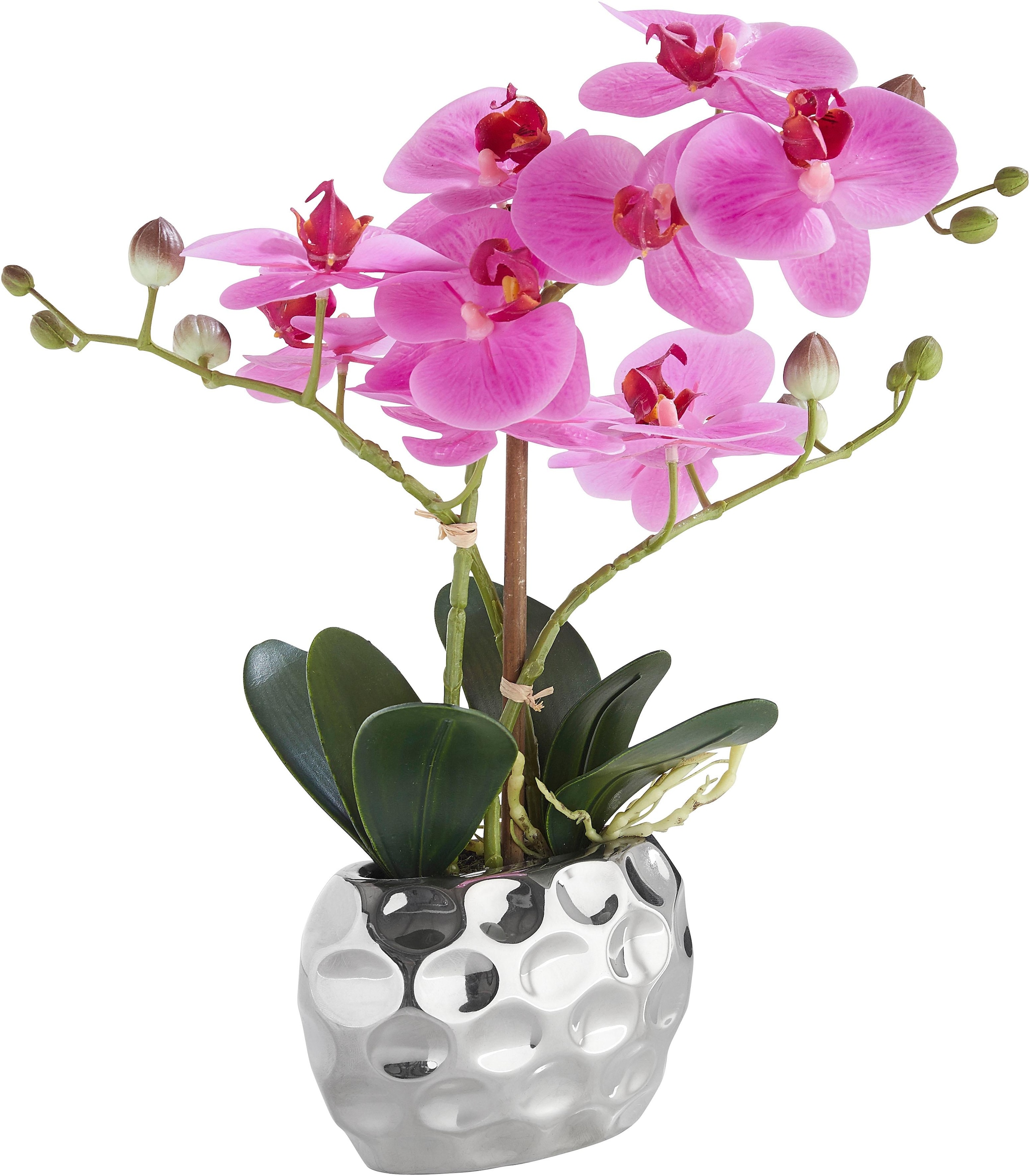 OTTO home Kunstpflanze "Orchidee" Kunstorchidee, im Topf, Bestseller, über günstig online kaufen
