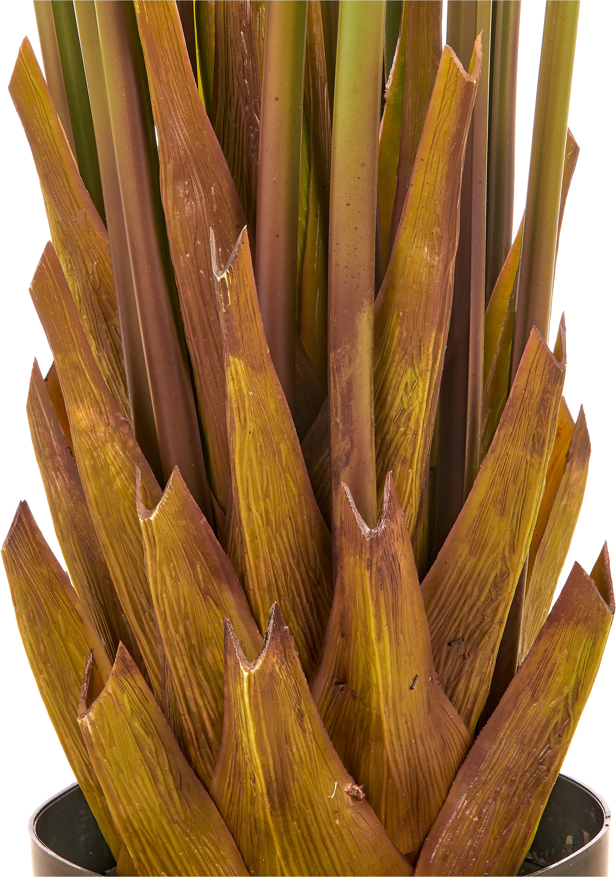 Creativ green Kunstpalme »Arecapalme« mit naturgetreuen Palmwedeln