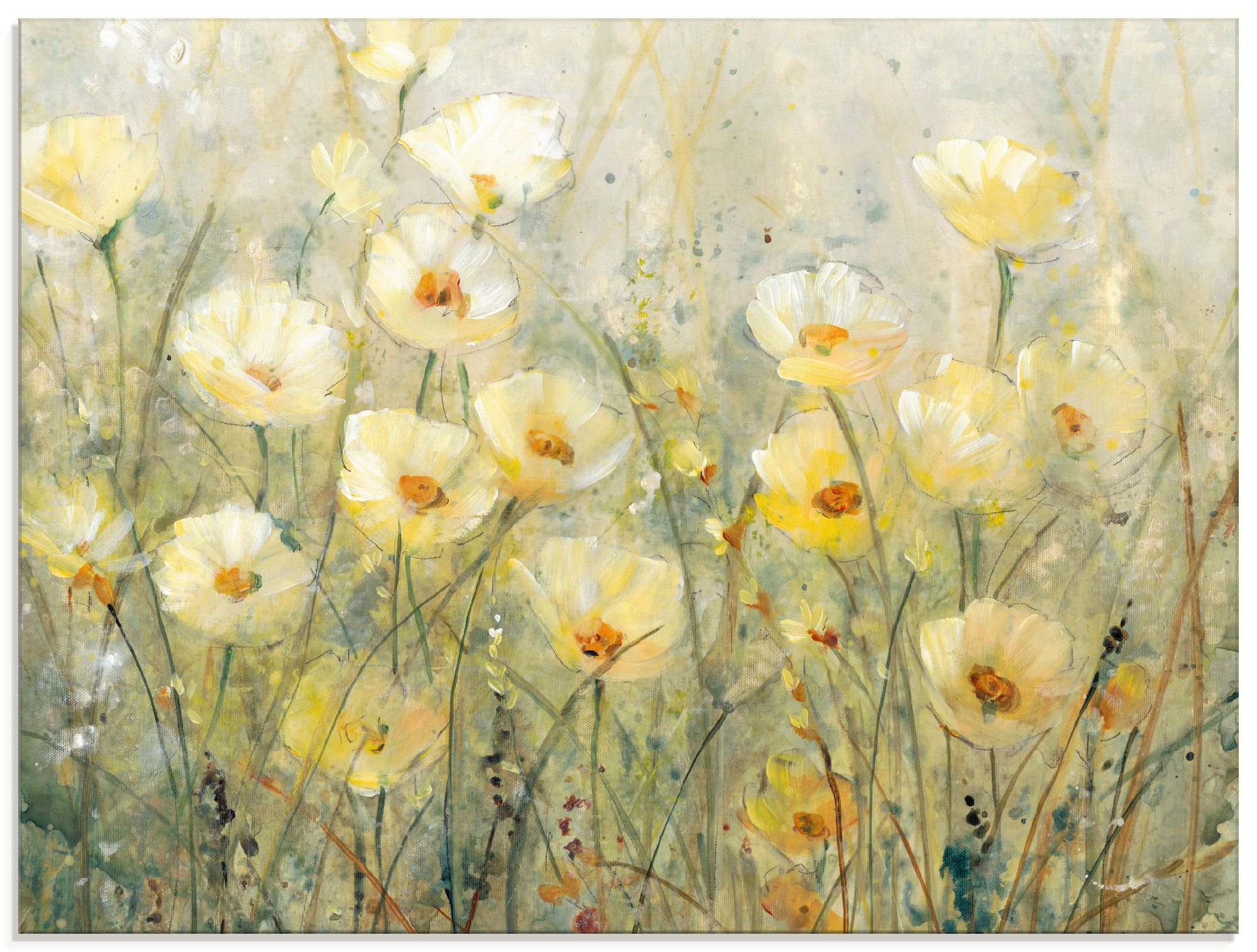 Artland Glasbild »Sommer in voller BAUR Größen Blumenwiese, Blüte bestellen in verschiedenen (1 | St.), I«