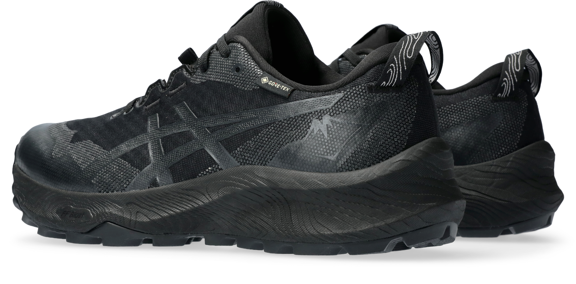 Asics Trailrunningschuh »GEL-TRABUCO 12 GTX«, Wasserdicht