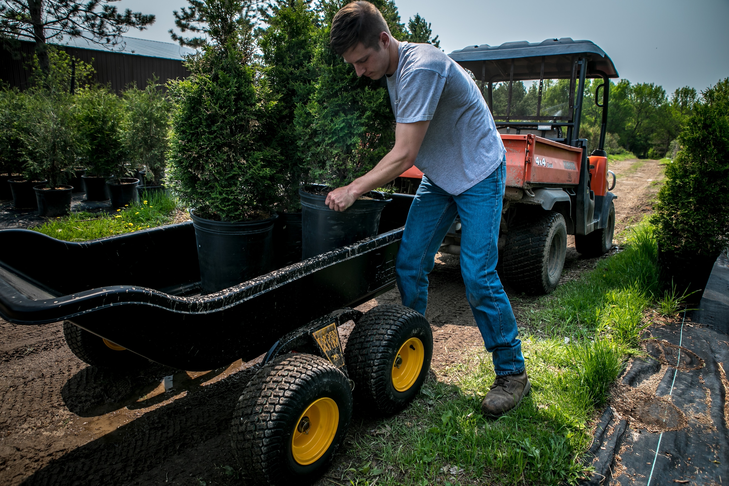 50NRTH Anhänger »Polar TA1500« BxLxH: 137x249x79 cm, 623 L