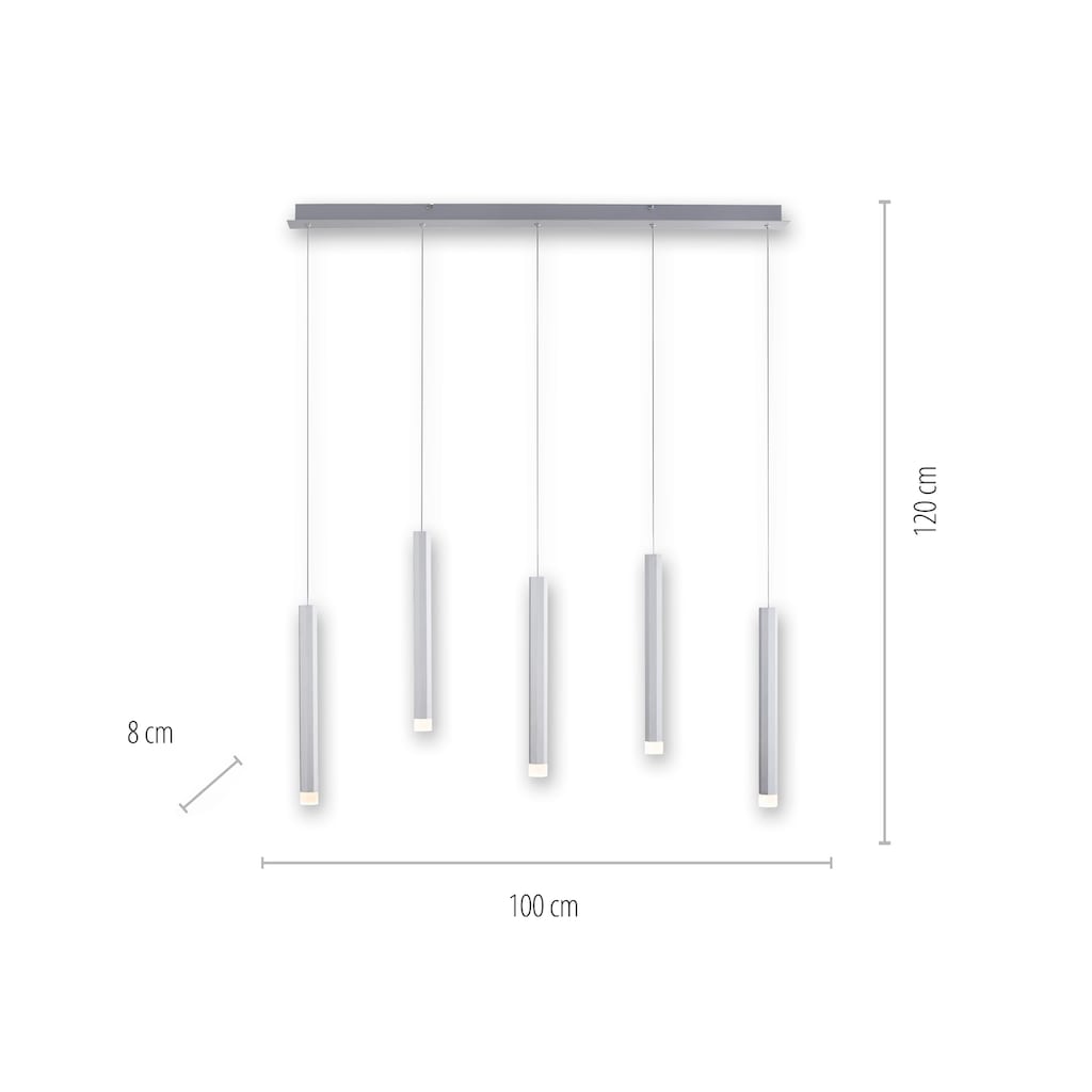 JUST LIGHT Pendelleuchte »BRUNO«, 5 flammig-flammig