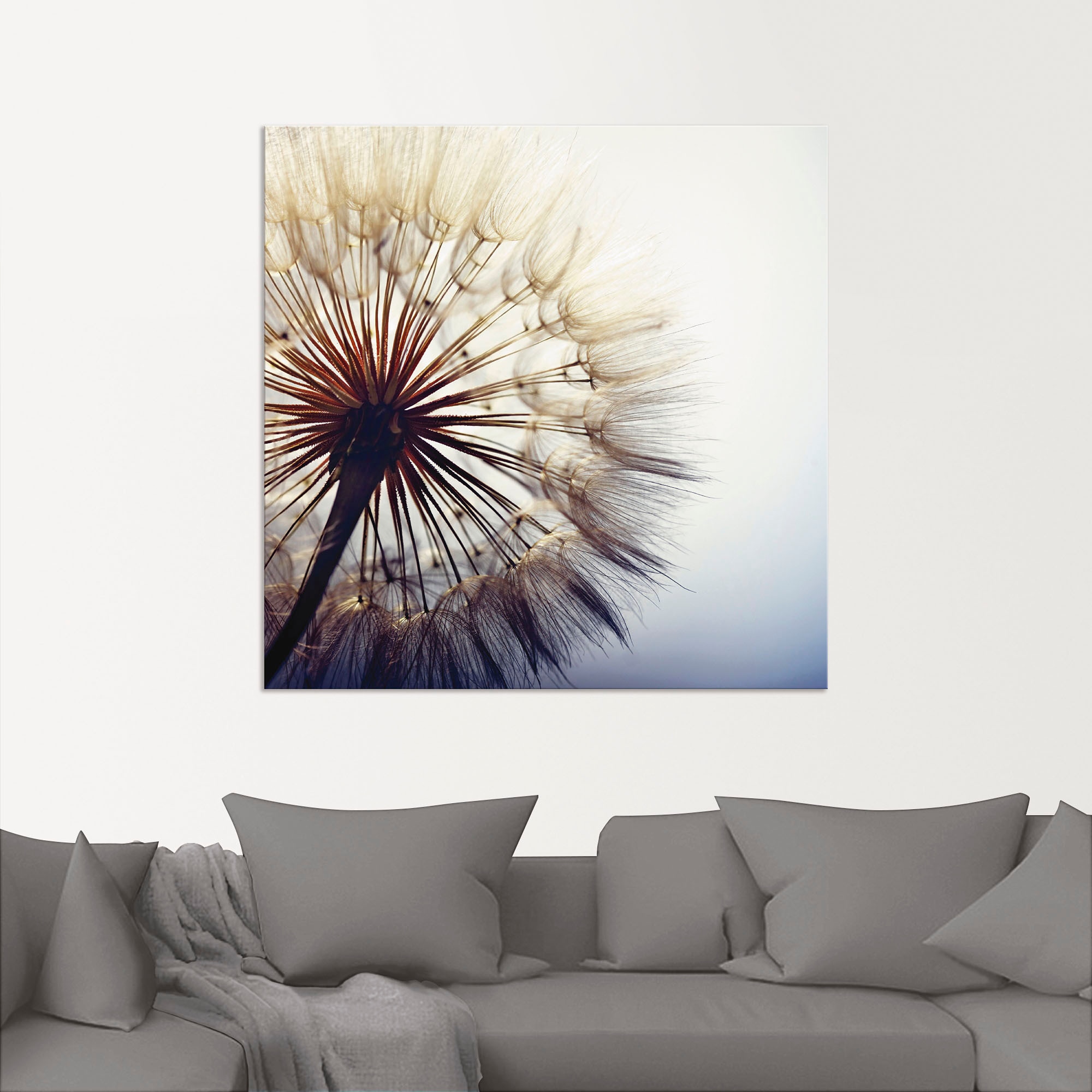 Artland Wandbild »Große Pusteblume«, (1 versch. Alubild, Blumen, in Wandaufkleber Poster | als Größen bestellen Leinwandbild, oder BAUR St.)