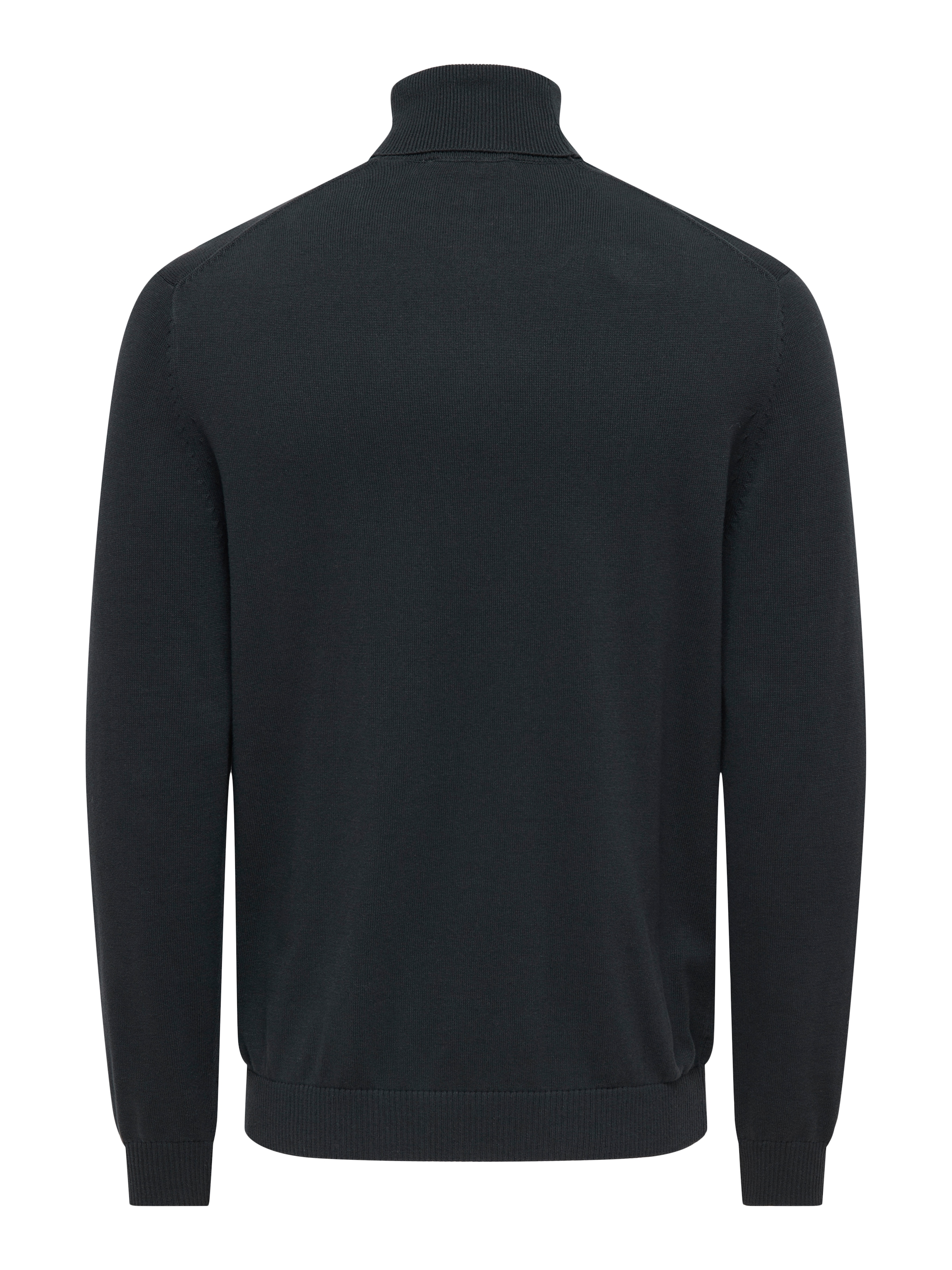 ONLY & SONS Rollkragenpullover »ONSHOLGER REG ROLL NECK KNIT - OTL«