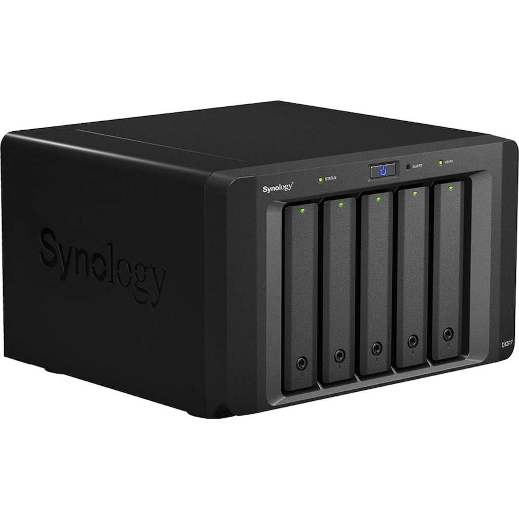 Synology NAS-Server »DX517«