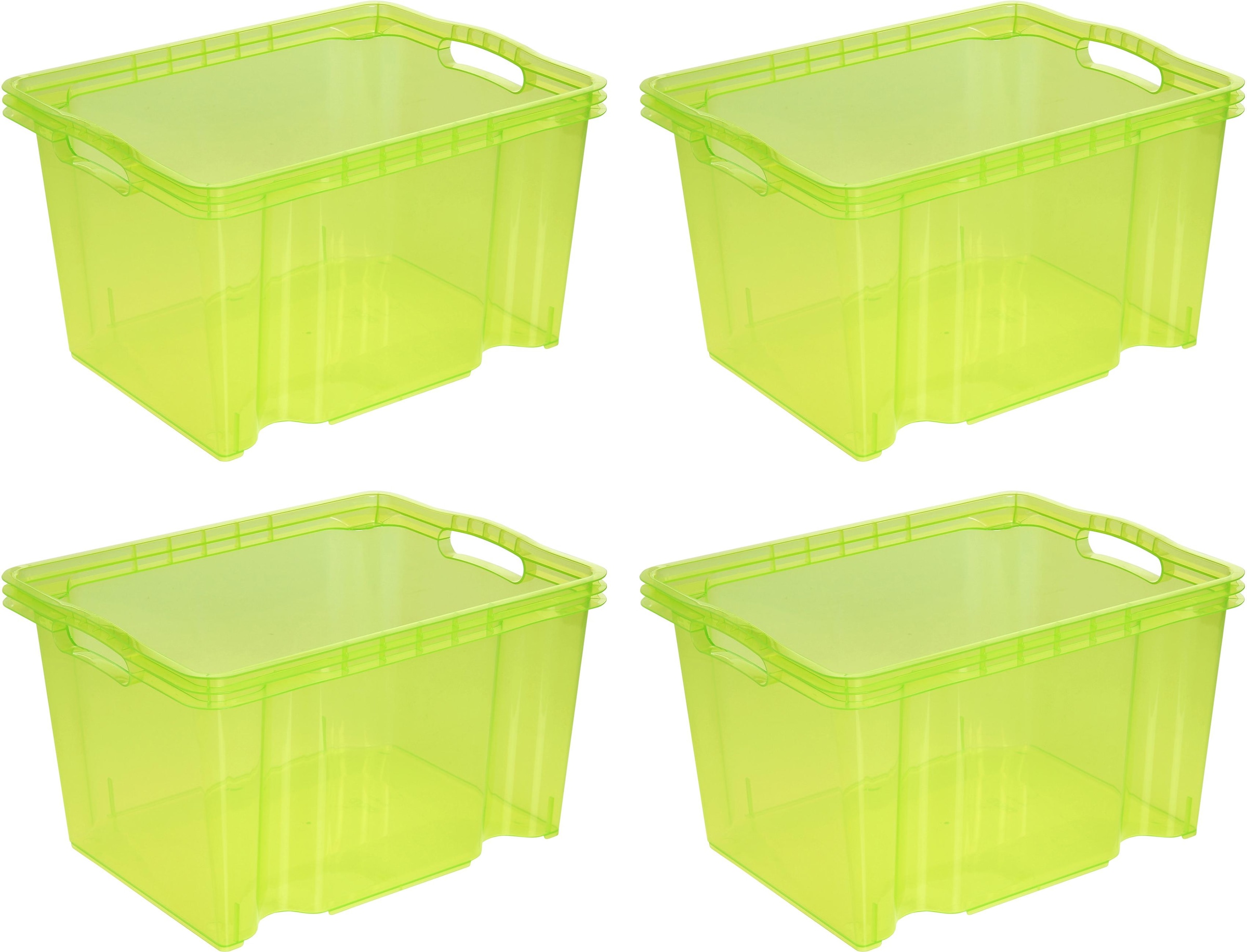 Organizer »franz«, (Set, 4 St.), Aufbewahrungsbox, 13,5 L, hochwertiger Kunststoff