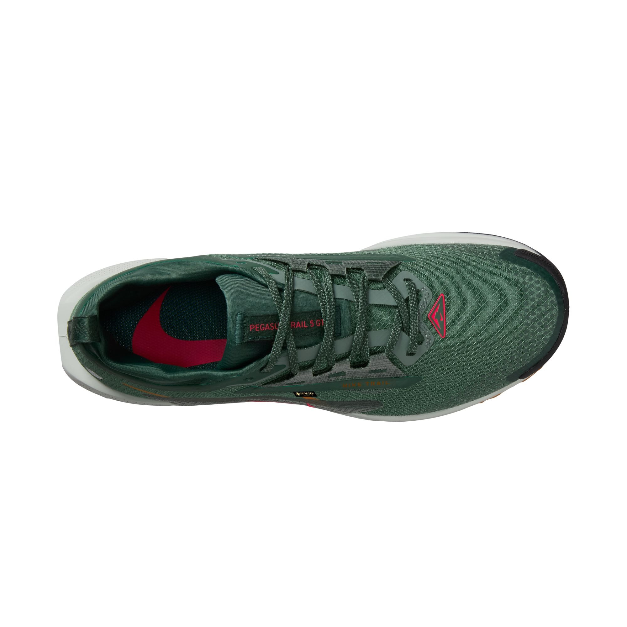 Nike Laufschuh »PEGASUS TRAIL 5 GTX«