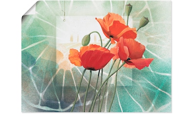 Artland Wandbild »Spiel der Mohnblüten«, Blumen, (1 St.), in vielen Größen &... kaufen