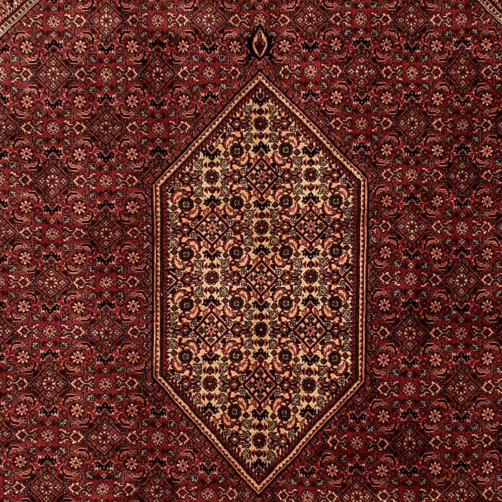 morgenland Orientteppich »Perser - Bidjar - 293 x 200 cm - braun«, rechteckig
