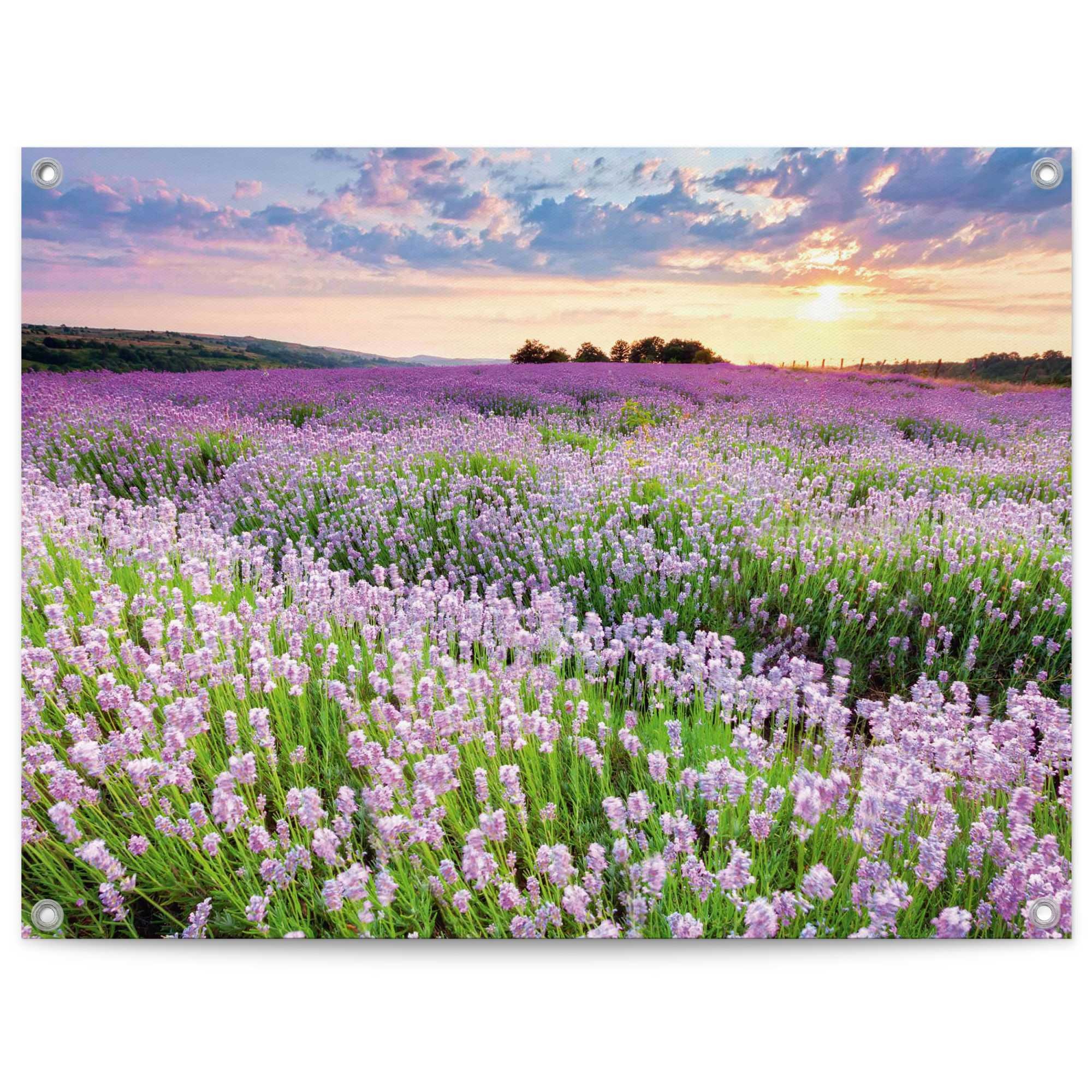 Reinders Poster "Lavender Field" günstig online kaufen