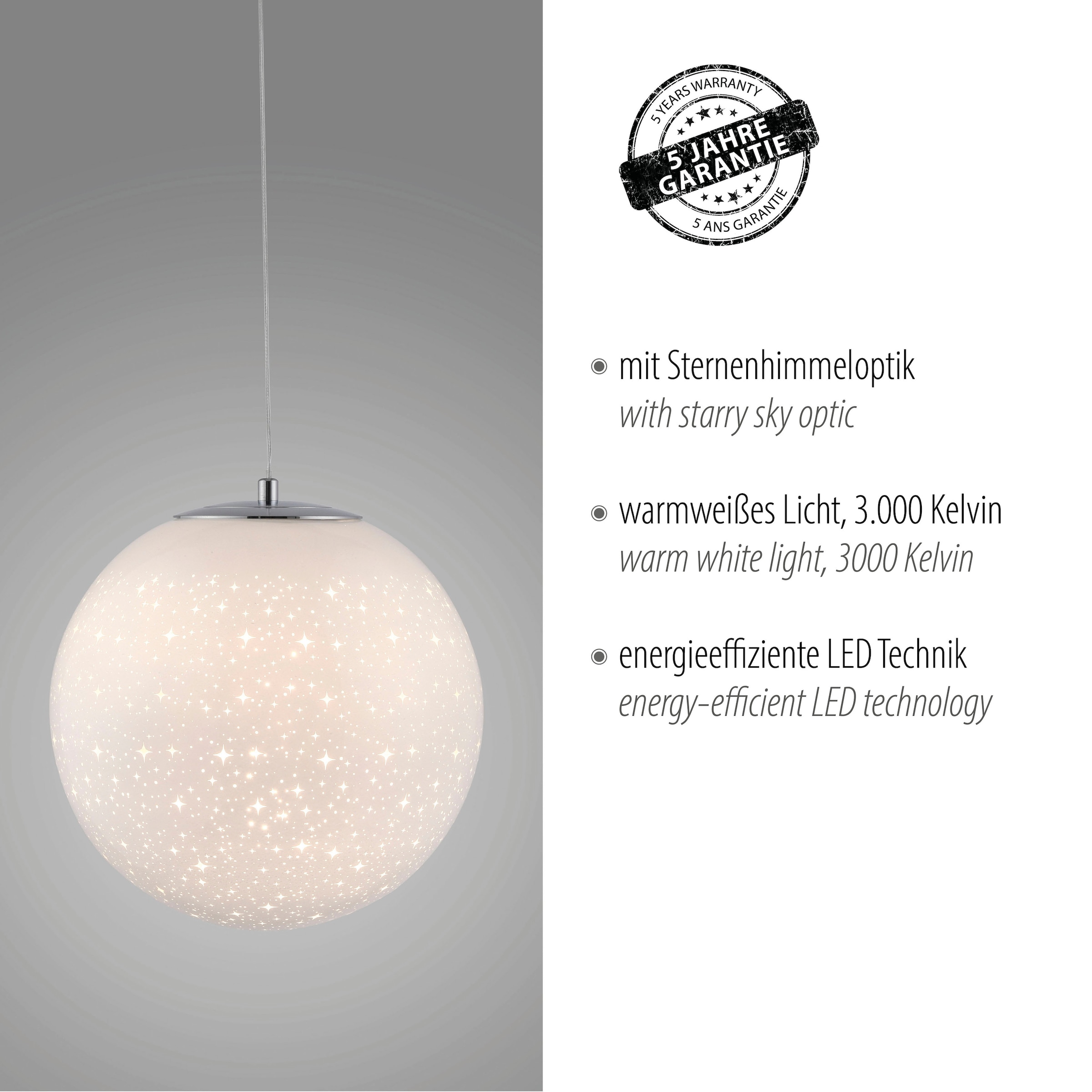 Paul Neuhaus Pendelleuchte »BOLO«, 1 flammig, Leuchtmittel LED-Board | LED fest integriert