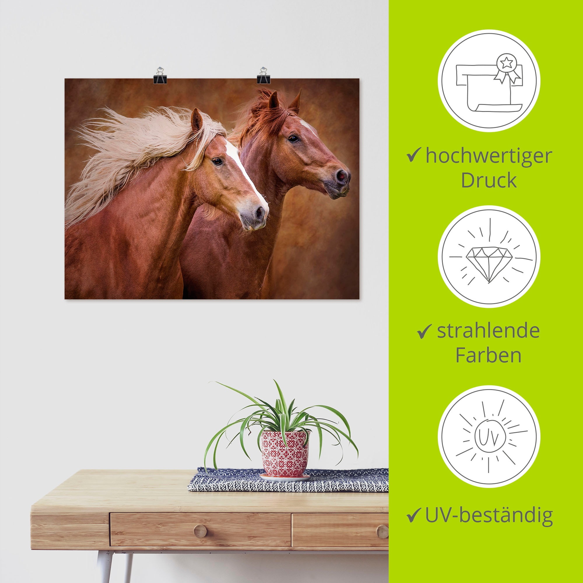 Artland Wandbild »Reinrassige Pferde I«, Haustiere, (1 St.), als Leinwandbild, Poster, Wandaufkleber in verschied. Größen