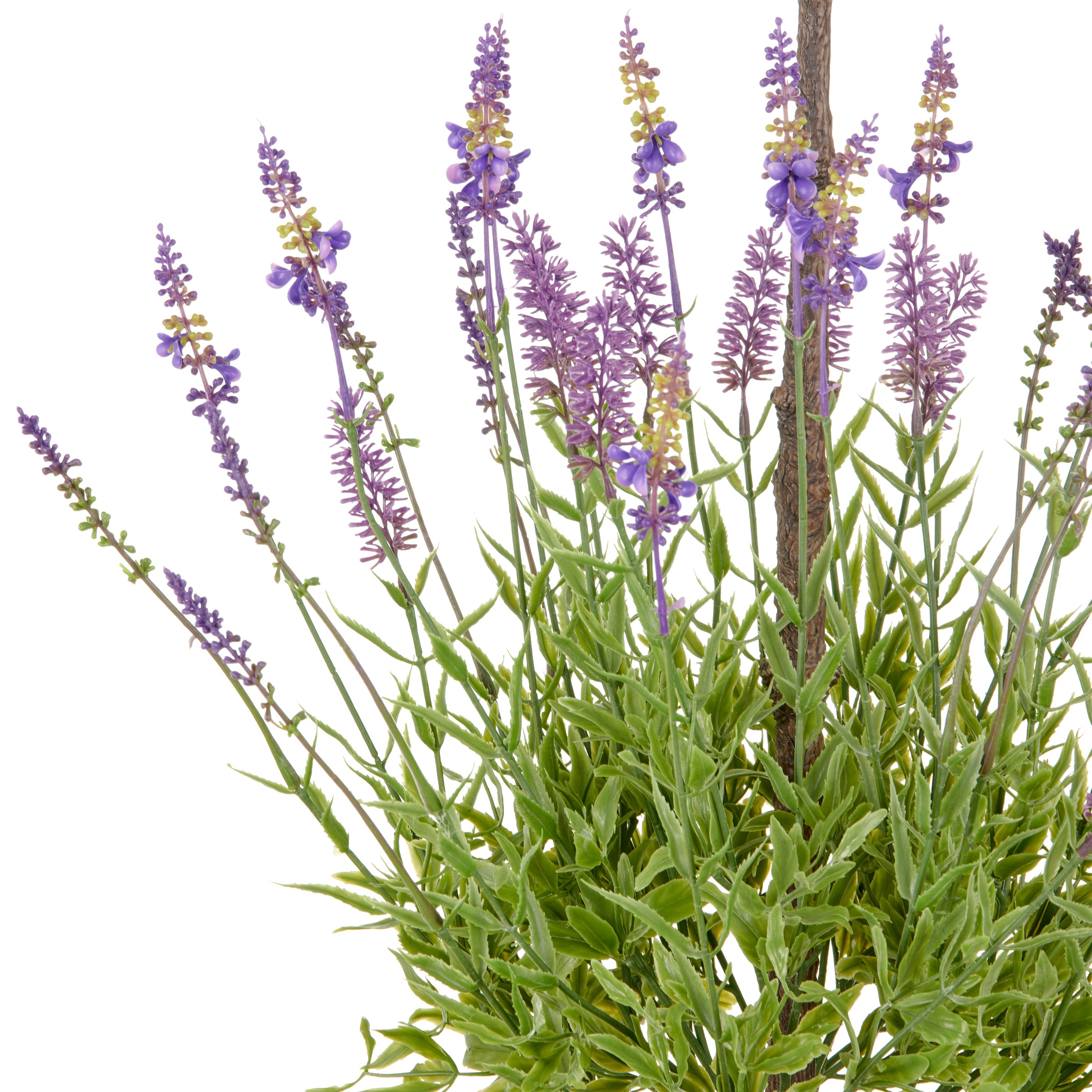 Creativ green Kunstpflanze "Lavendel", mit filigranen Lavendelbüten günstig online kaufen