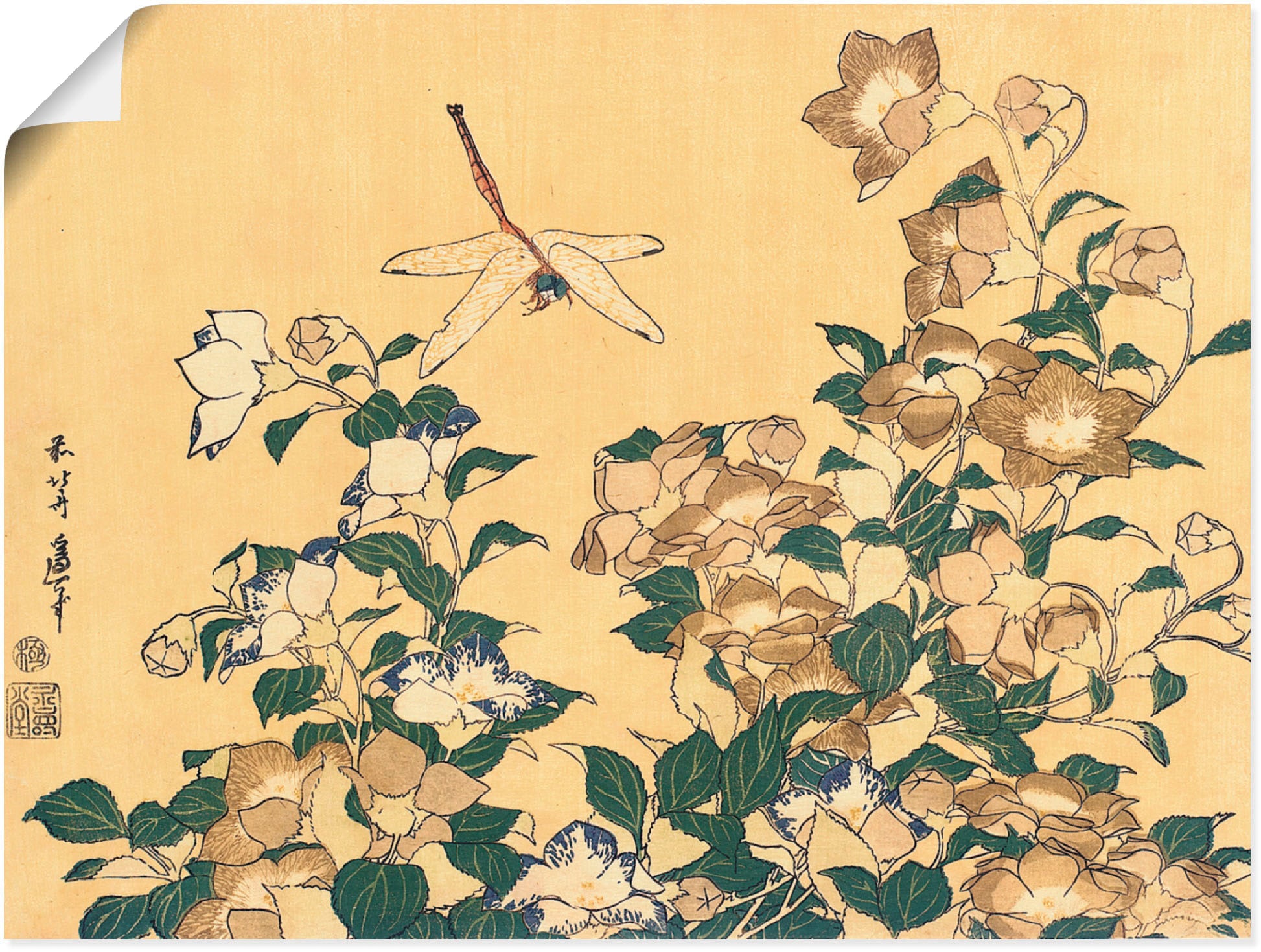 Artland Wandbild »Chinesische Glockenblume und Libelle«, Blumen, (1 St.), als Leinwandbild, Poster in verschied. Größen