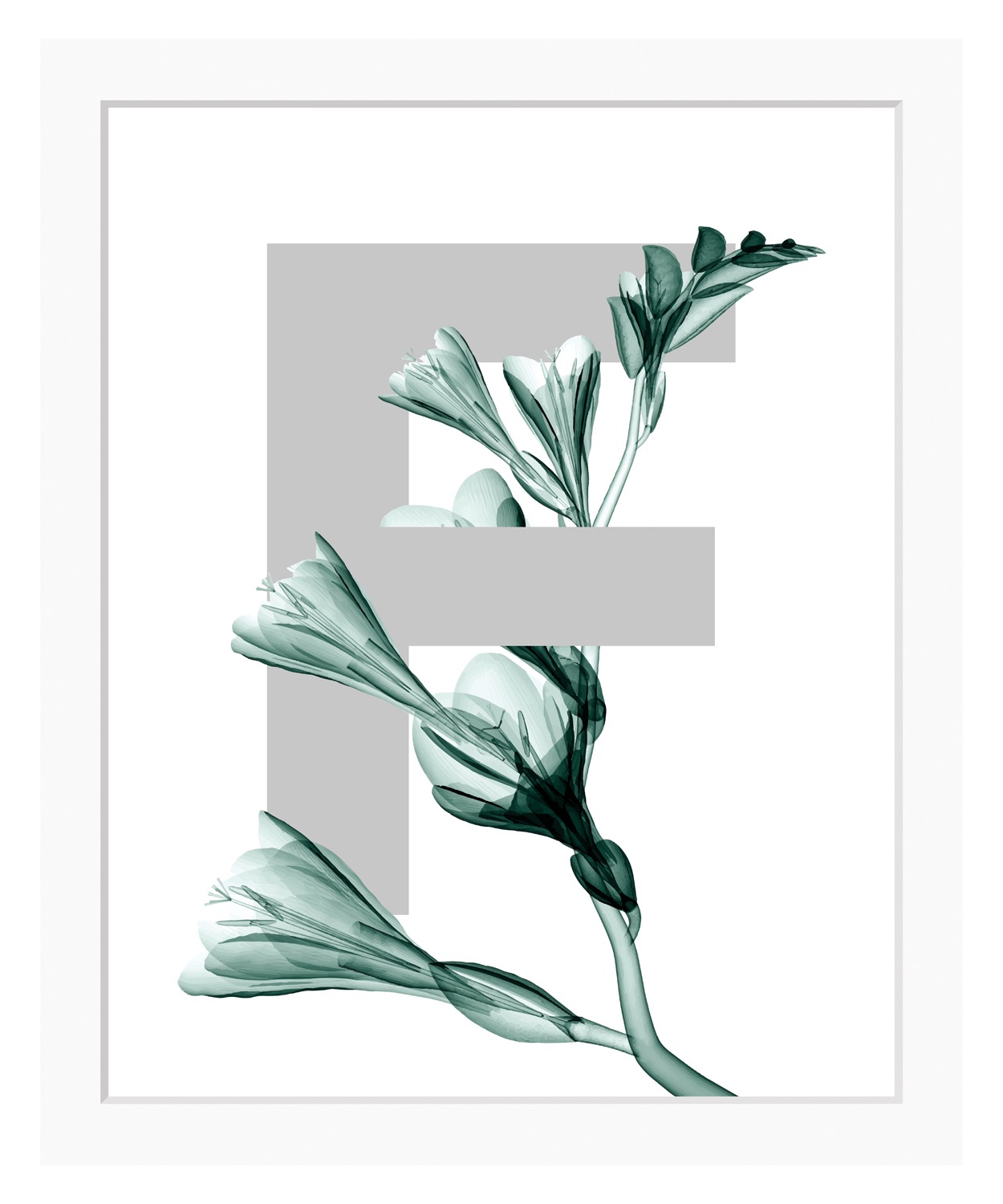 queence Bild »F-Flower«, Buchstaben, gerahmt, Blume, Blätter