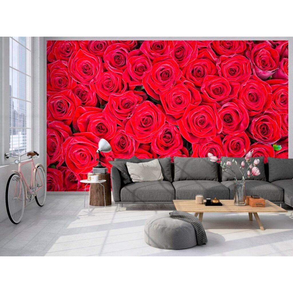 living walls Fototapete »rote Rosen«