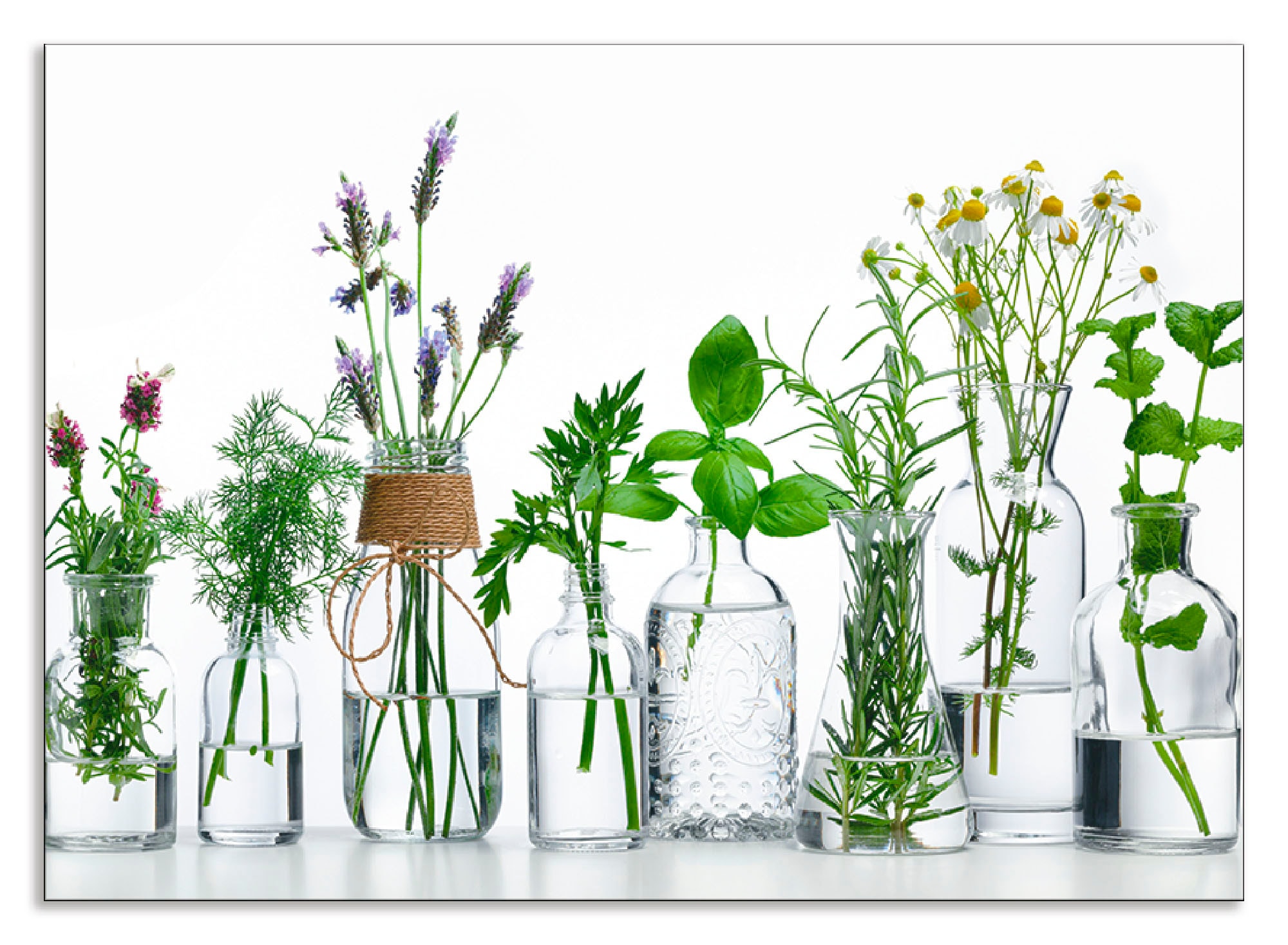 Artland "Öle mit Kräutern" Alu Spritzschutz mit Klebeband, einfache Montage günstig online kaufen